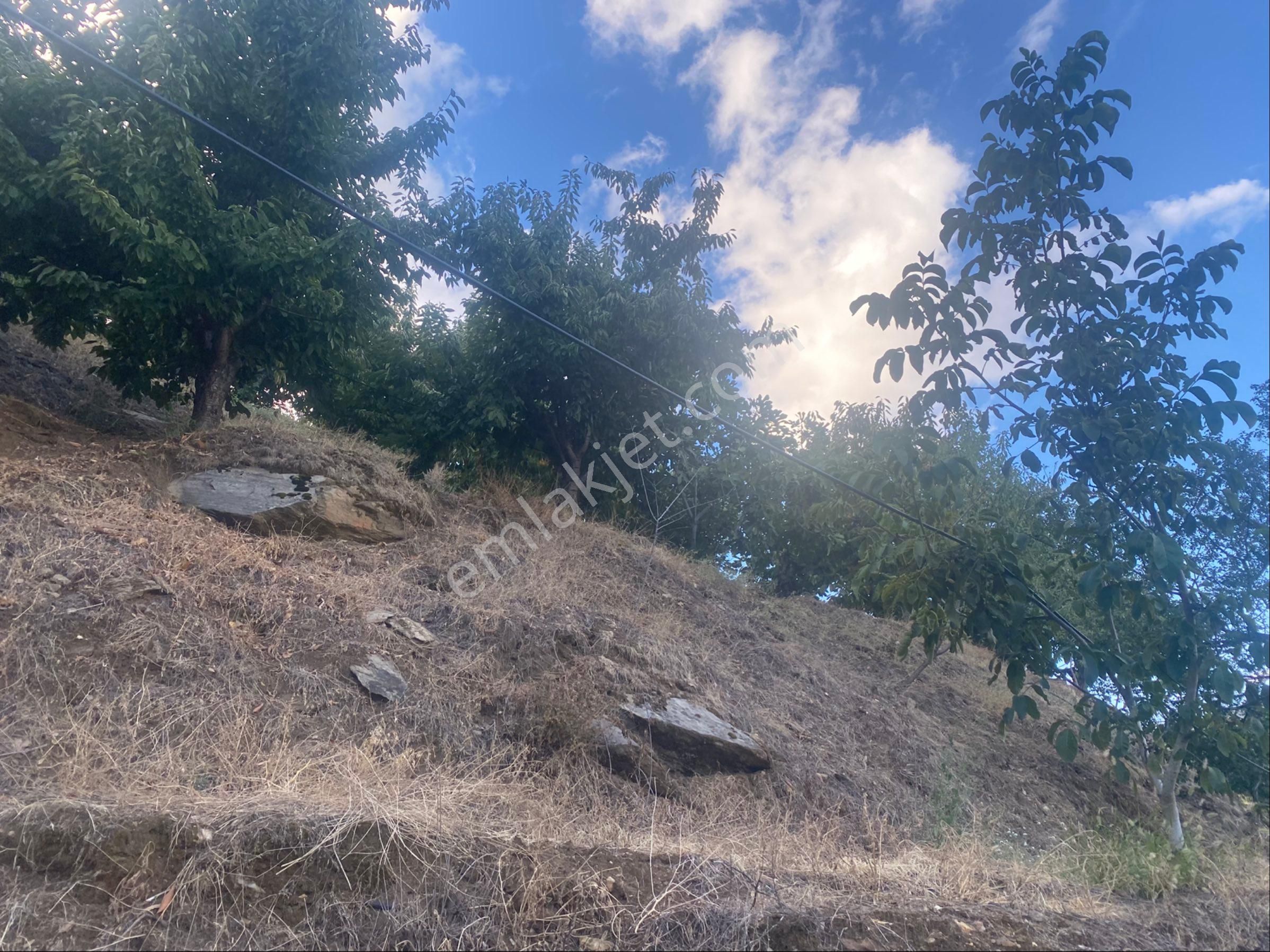İzmir Ödemişte Satılık Arazi - Görsel 9