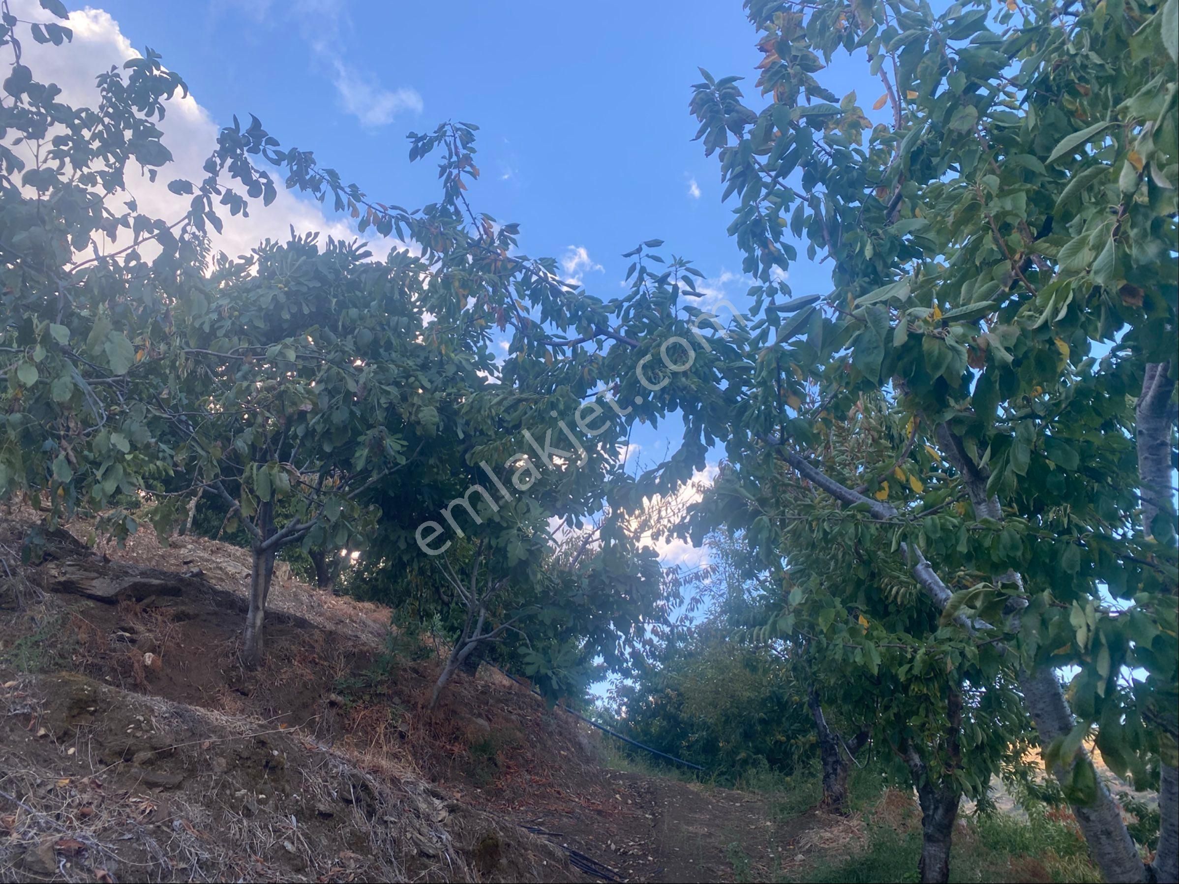 İzmir Ödemişte Satılık Arazi - Görsel 23