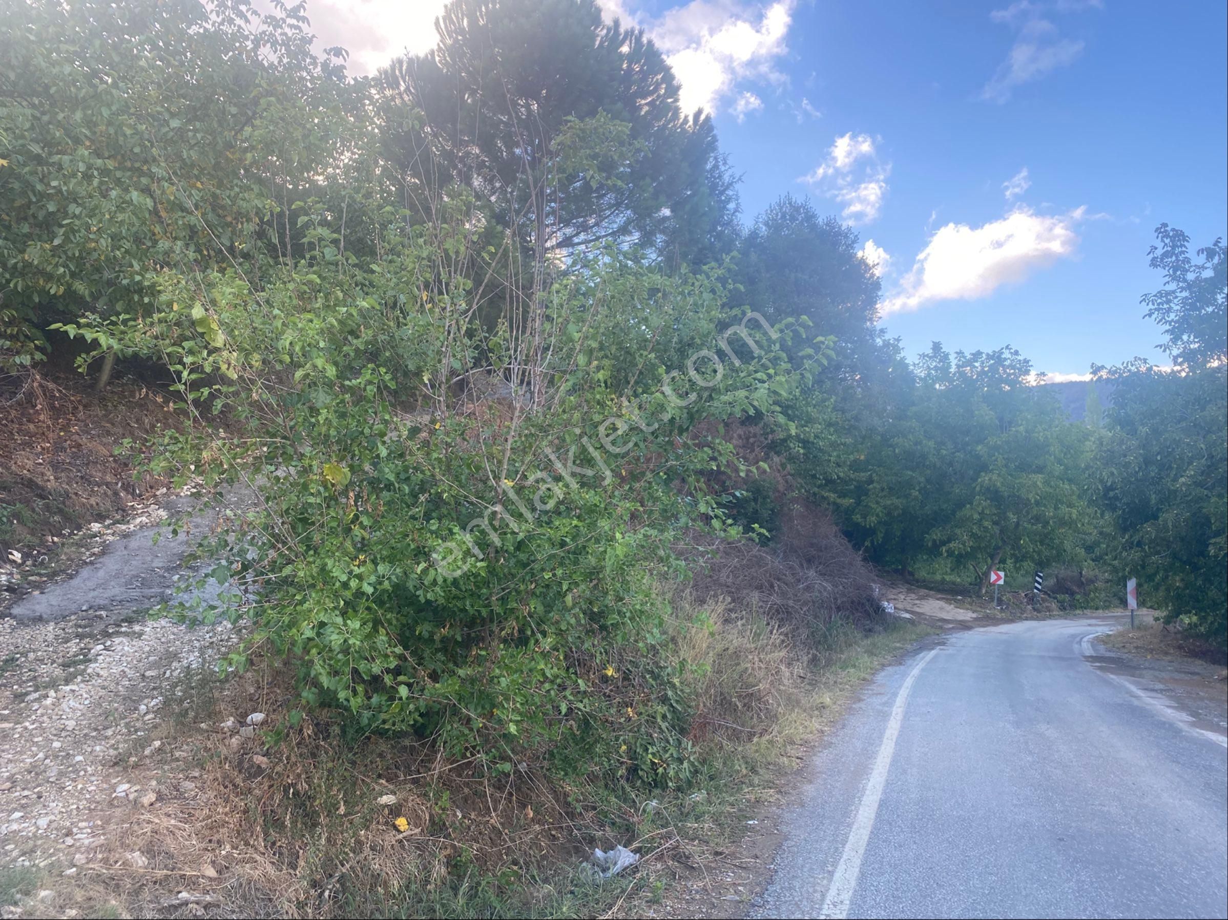 İzmir Ödemişte Satılık Arazi - Görsel 4