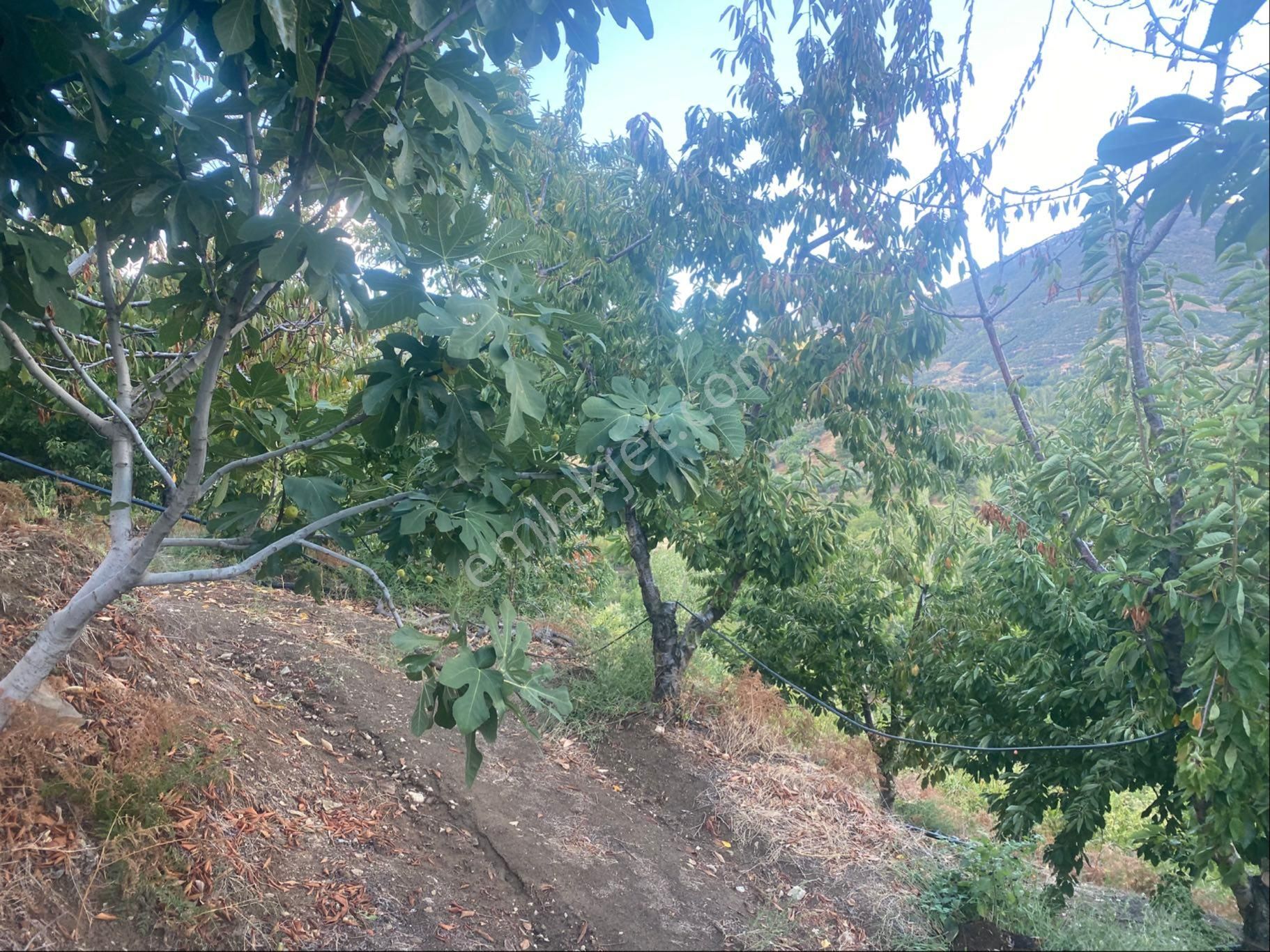 İzmir Ödemişte Satılık Arazi - Görsel 21