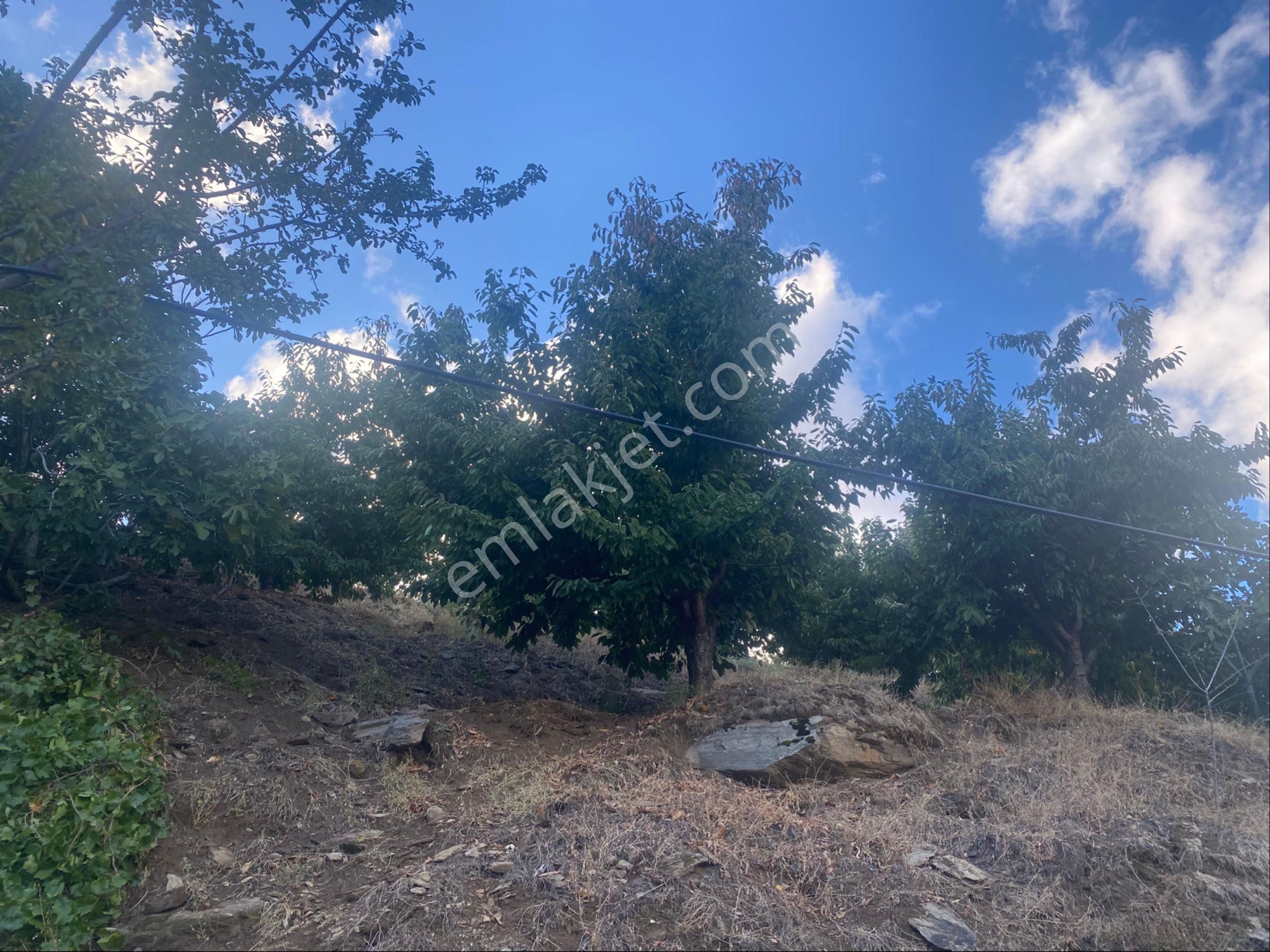İzmir Ödemişte Satılık Arazi - Görsel 8