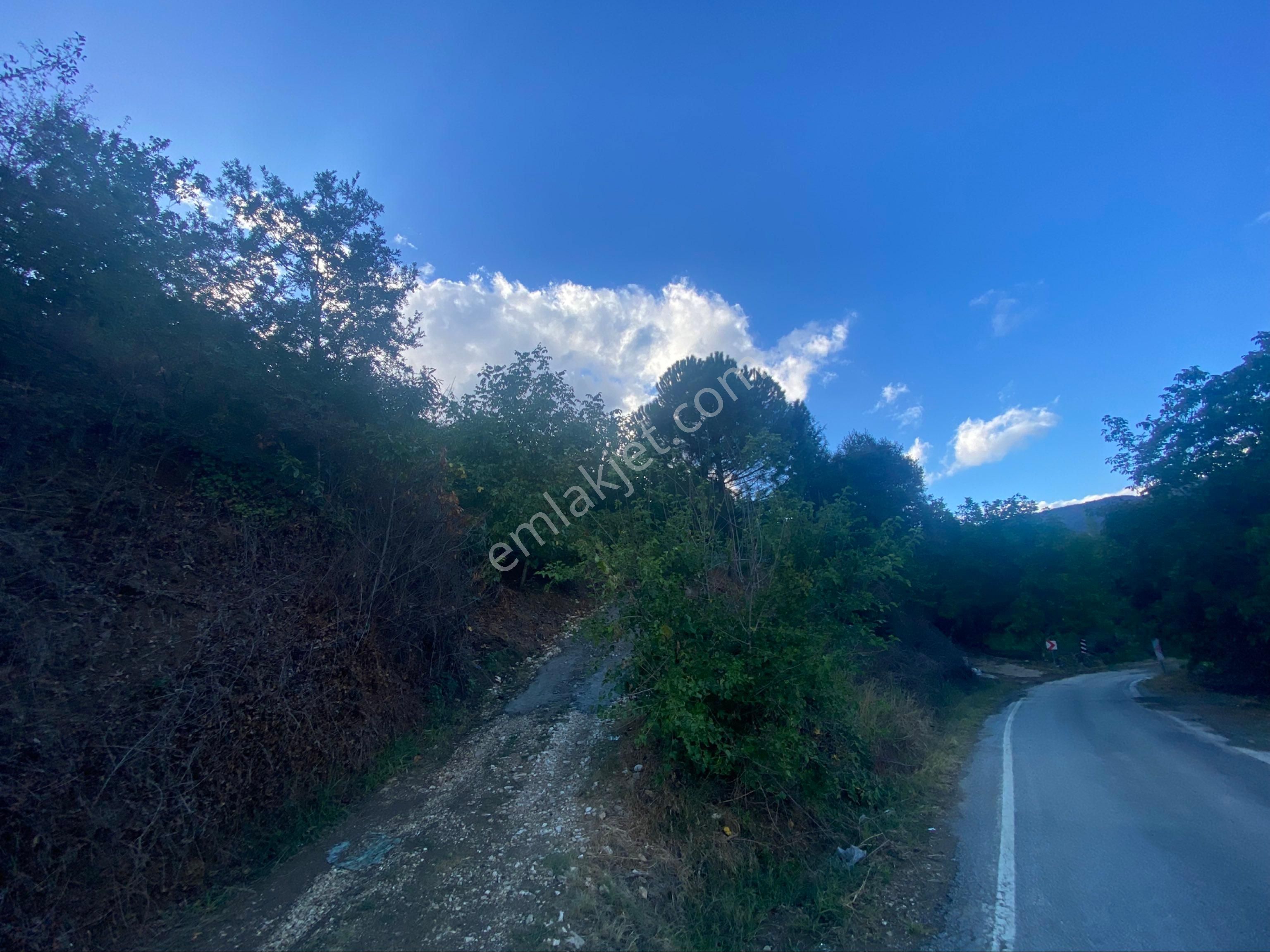 İzmir Ödemişte Satılık Arazi - Görsel 2