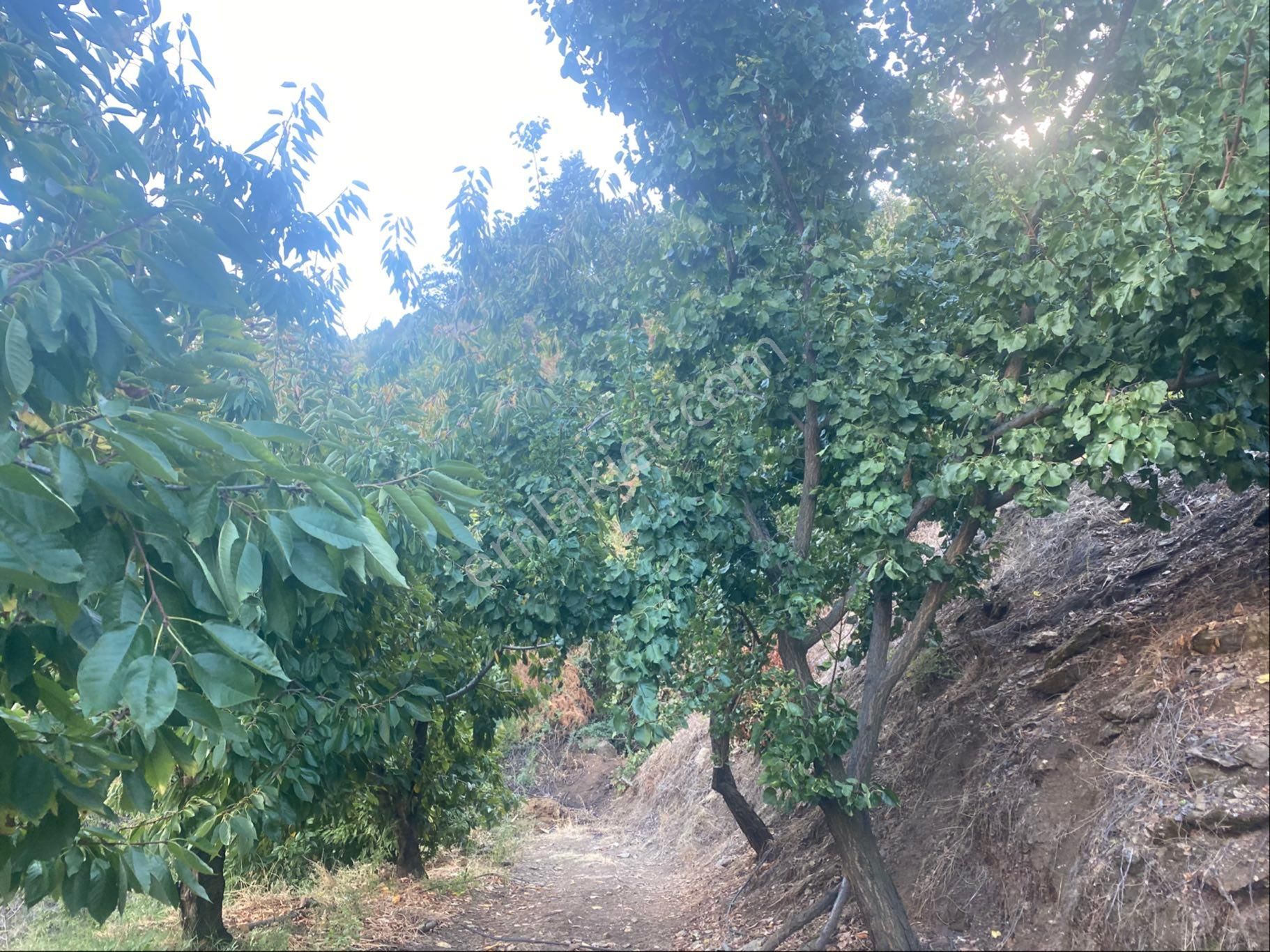 İzmir Ödemişte Satılık Arazi - Görsel 30