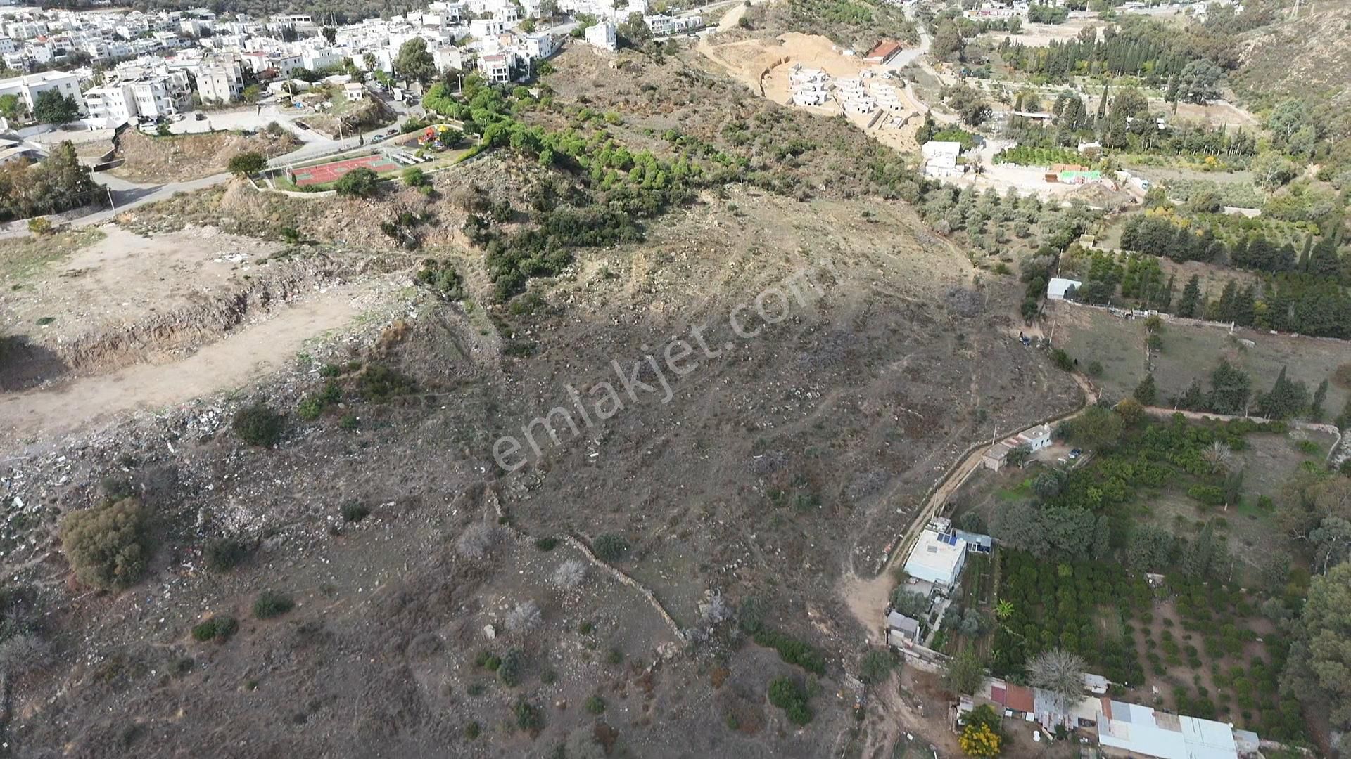 Turgutreiste Koperatif Hisseli Satılık 2 Adet 500m² Toplam 1.000m²arsa - Görsel 4