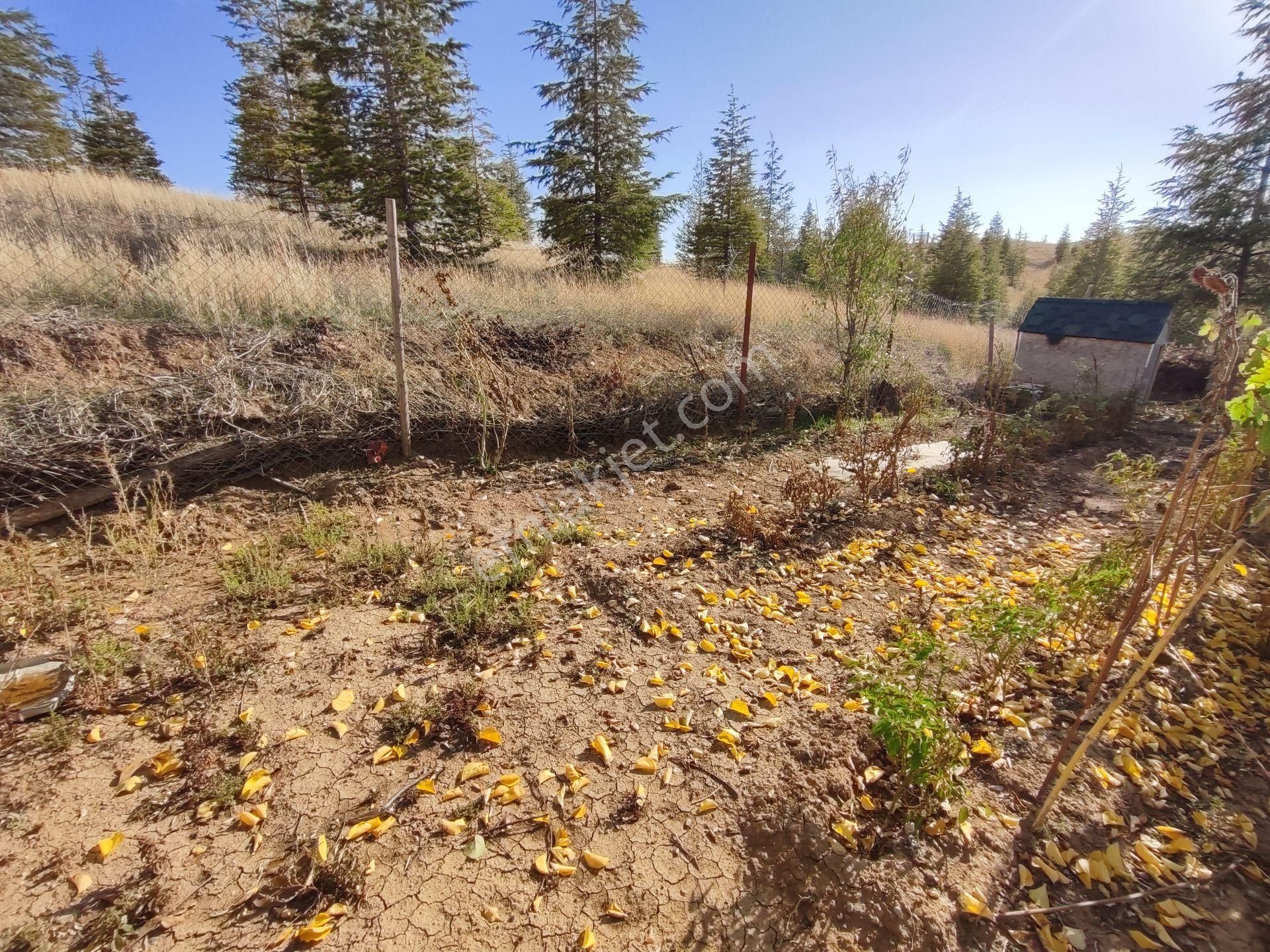 Sirkeli'de İçerisinde 2+1 Tapulu Müstakil Ev Bulunan 743m2 İmarlı Villa Parseli Tuğrul Emlaktan - Görsel 29