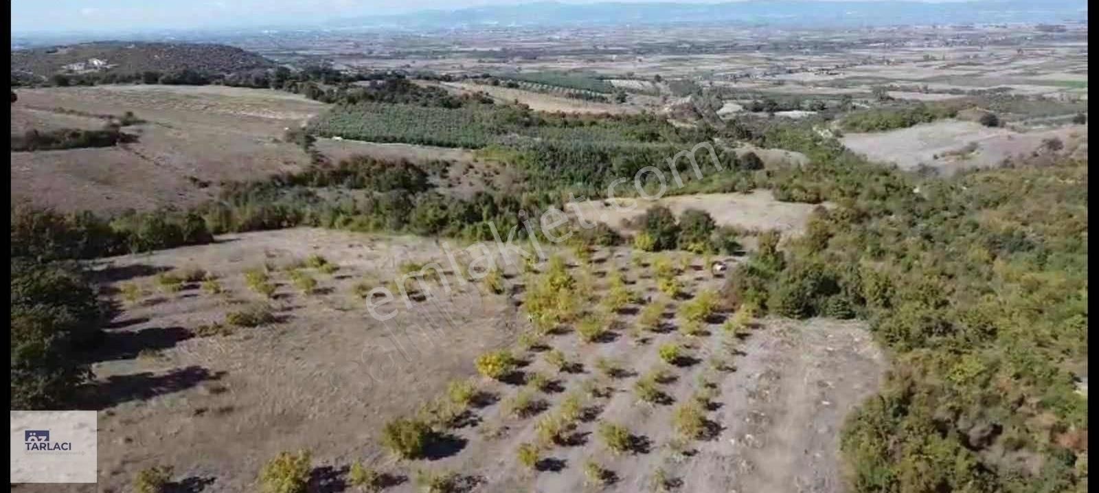 Karaoğlan'da Takaslı 14050m2 190 Adet Ağaçlı Ceviz Bahçesi - Görsel 4