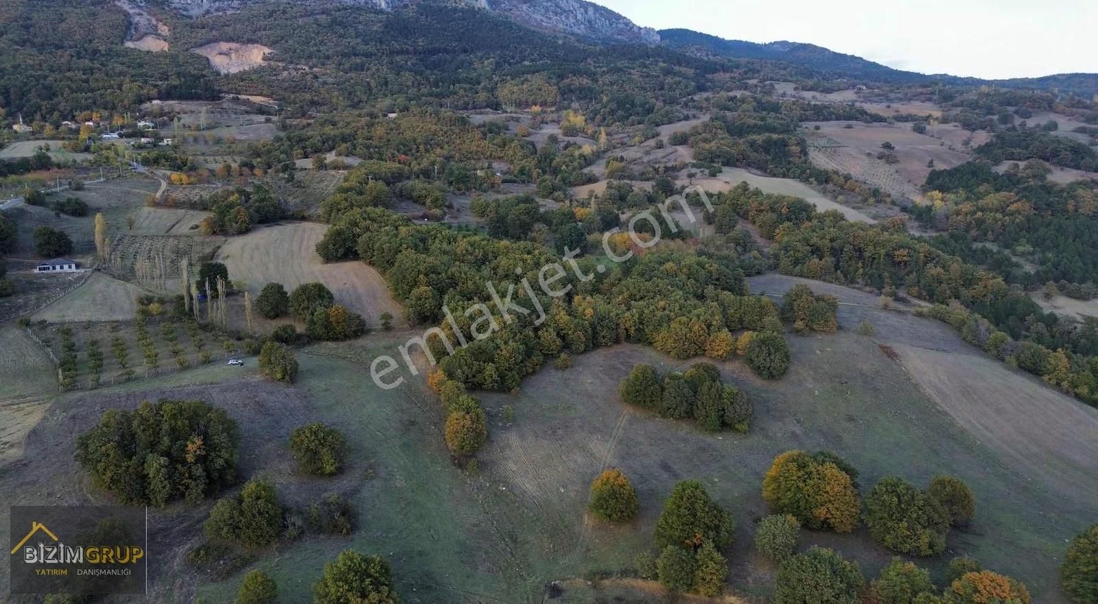 Çiftlik Yapımına Uygun % 5 İmarlı - Görsel 2