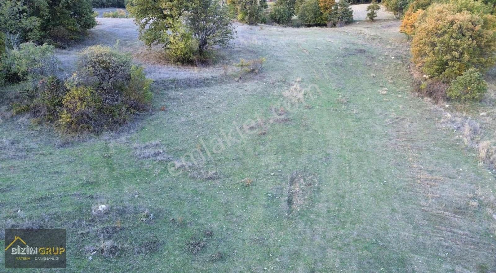 Çiftlik Yapımına Uygun % 5 İmarlı - Görsel 12