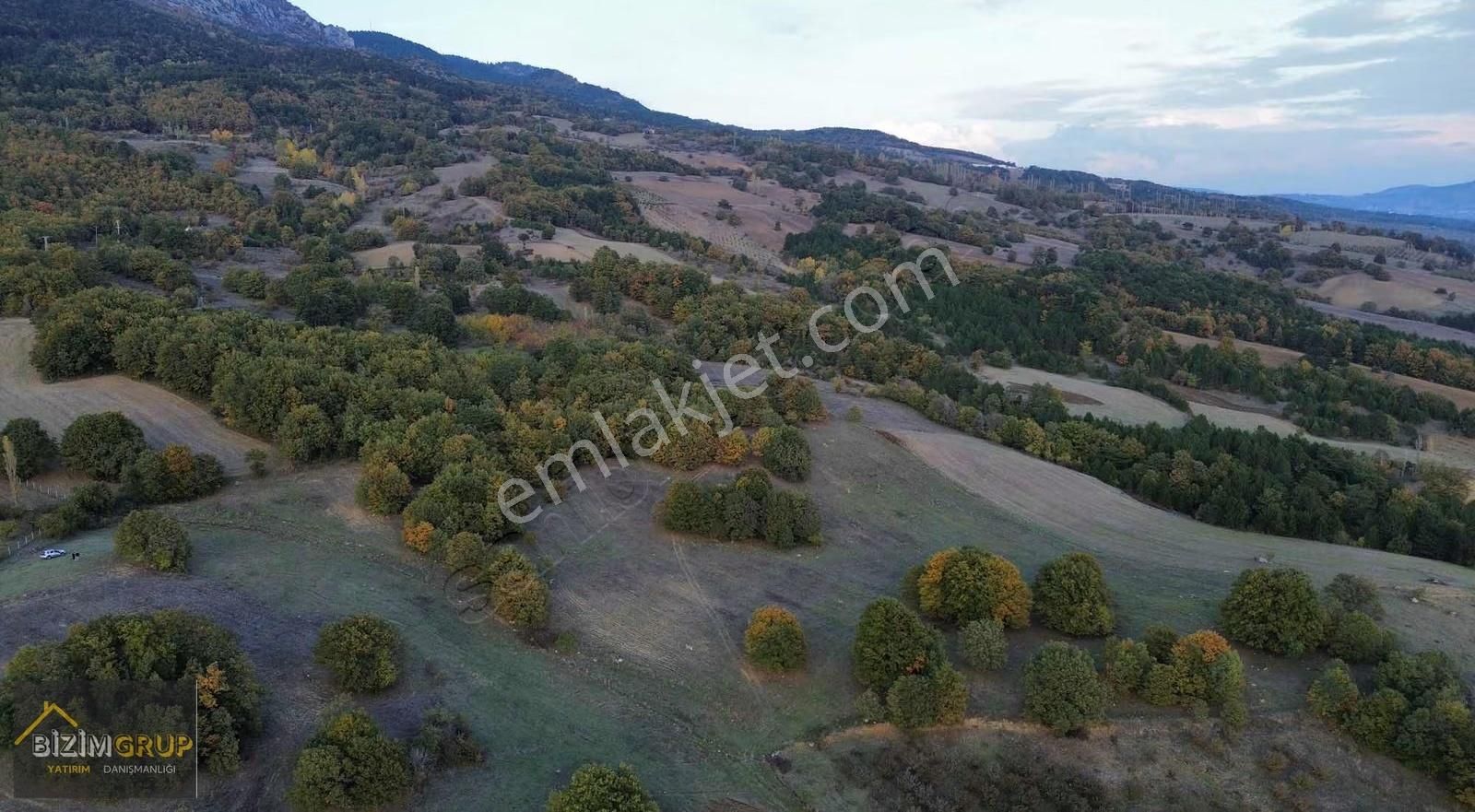Çiftlik Yapımına Uygun % 5 İmarlı - Görsel 9