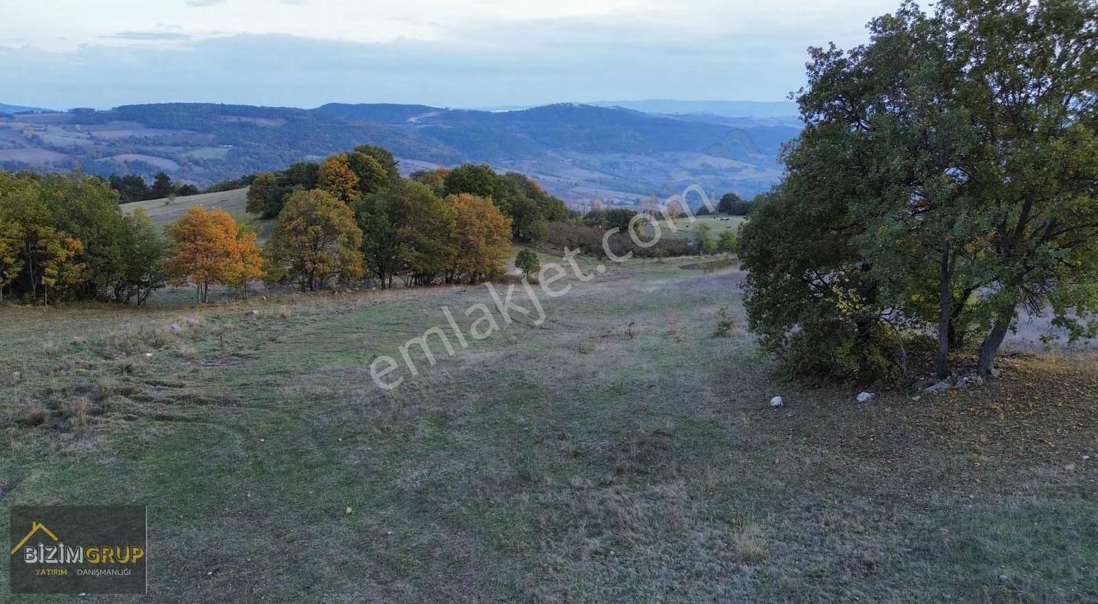 Çiftlik Yapımına Uygun % 5 İmarlı - Görsel 7
