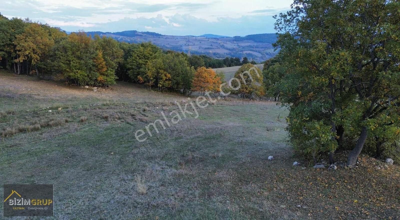 Çiftlik Yapımına Uygun % 5 İmarlı - Görsel 14