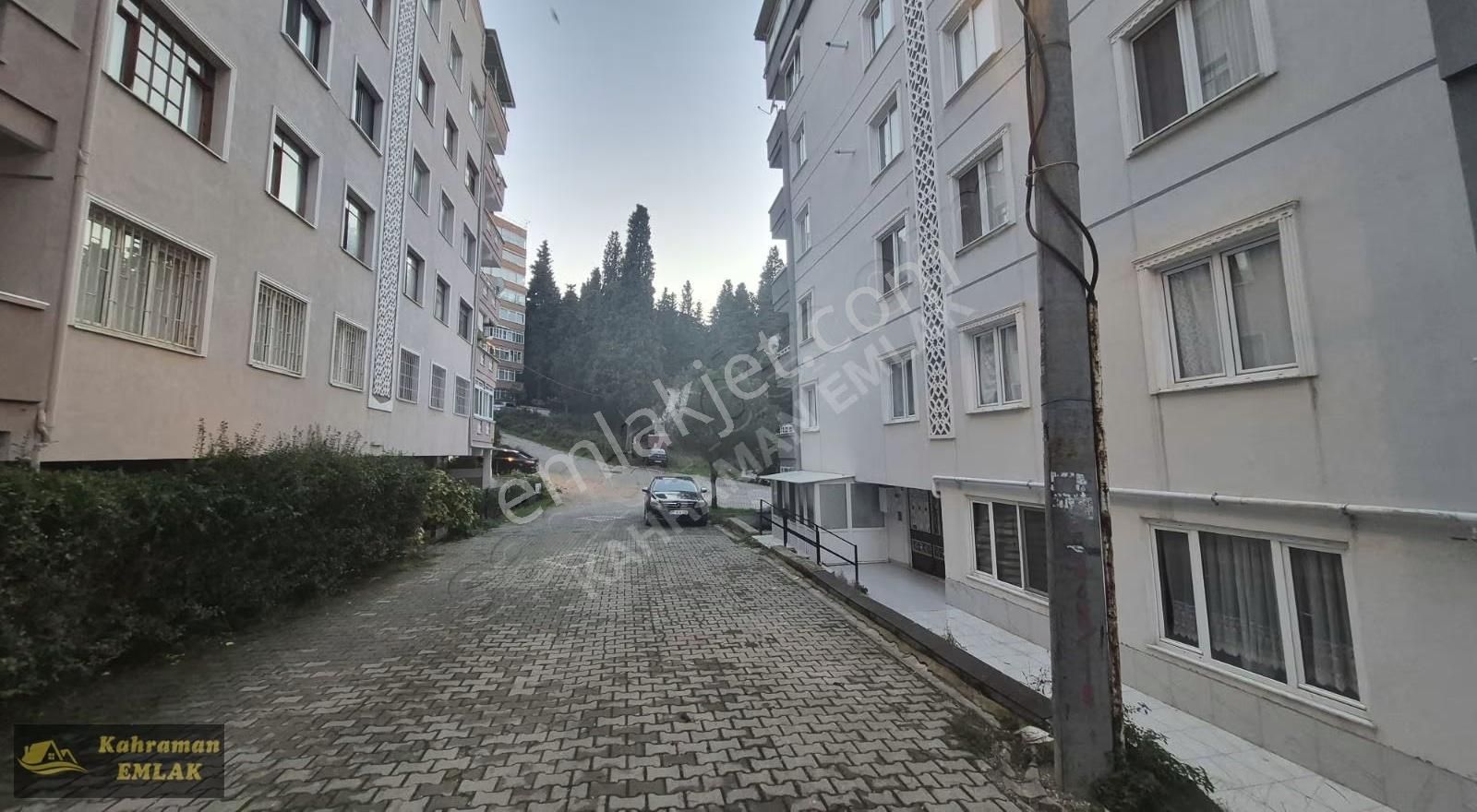 Çınarcık Alp Sokakta 1.kat Köşe Daire - Görsel 13