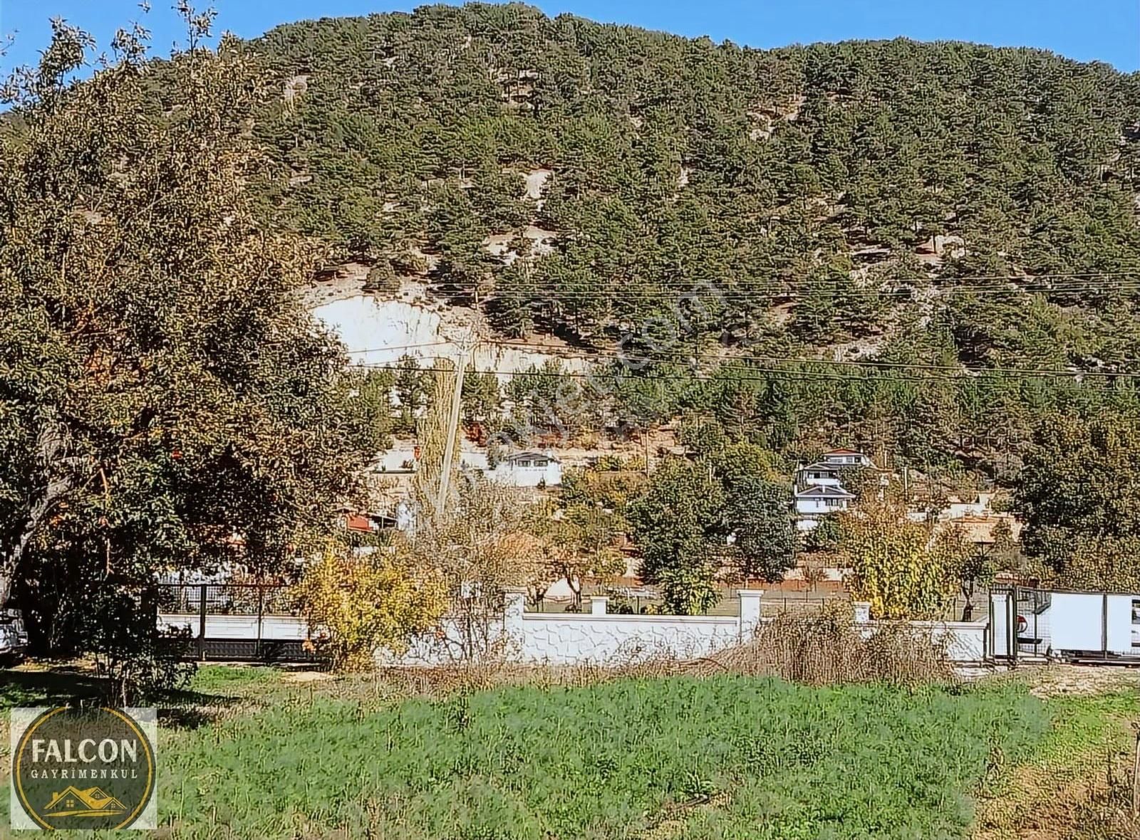 Falcon Dan Nif De Fırsat 2000m2 Arsa - Görsel 3