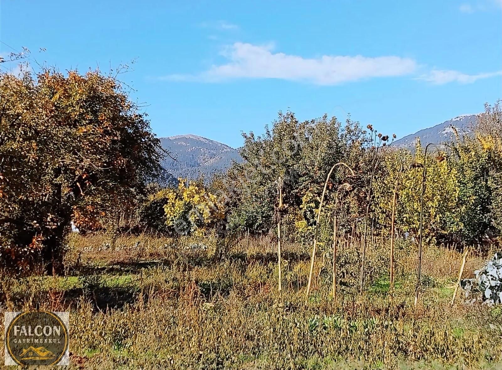 Falcon Dan Nif De Fırsat 2000m2 Arsa - Görsel 6