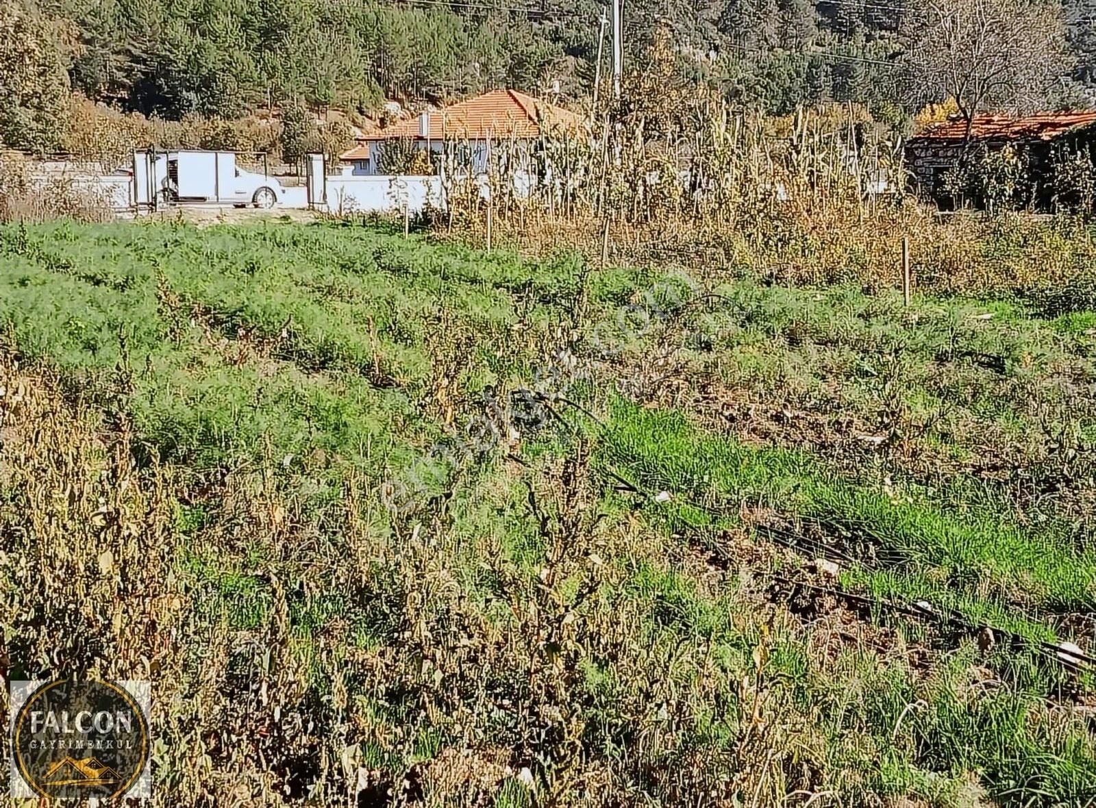 Falcon Dan Nif De Fırsat 2000m2 Arsa - Görsel 5