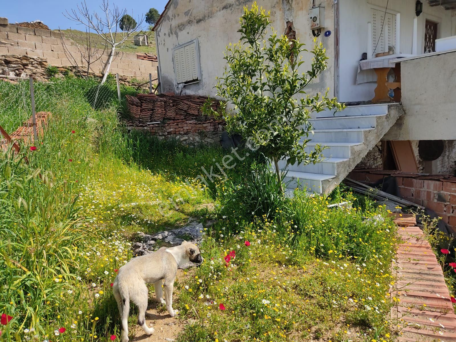 Doğa İle İç İçe Kaçırılmayacak Fırsat - Görsel 6