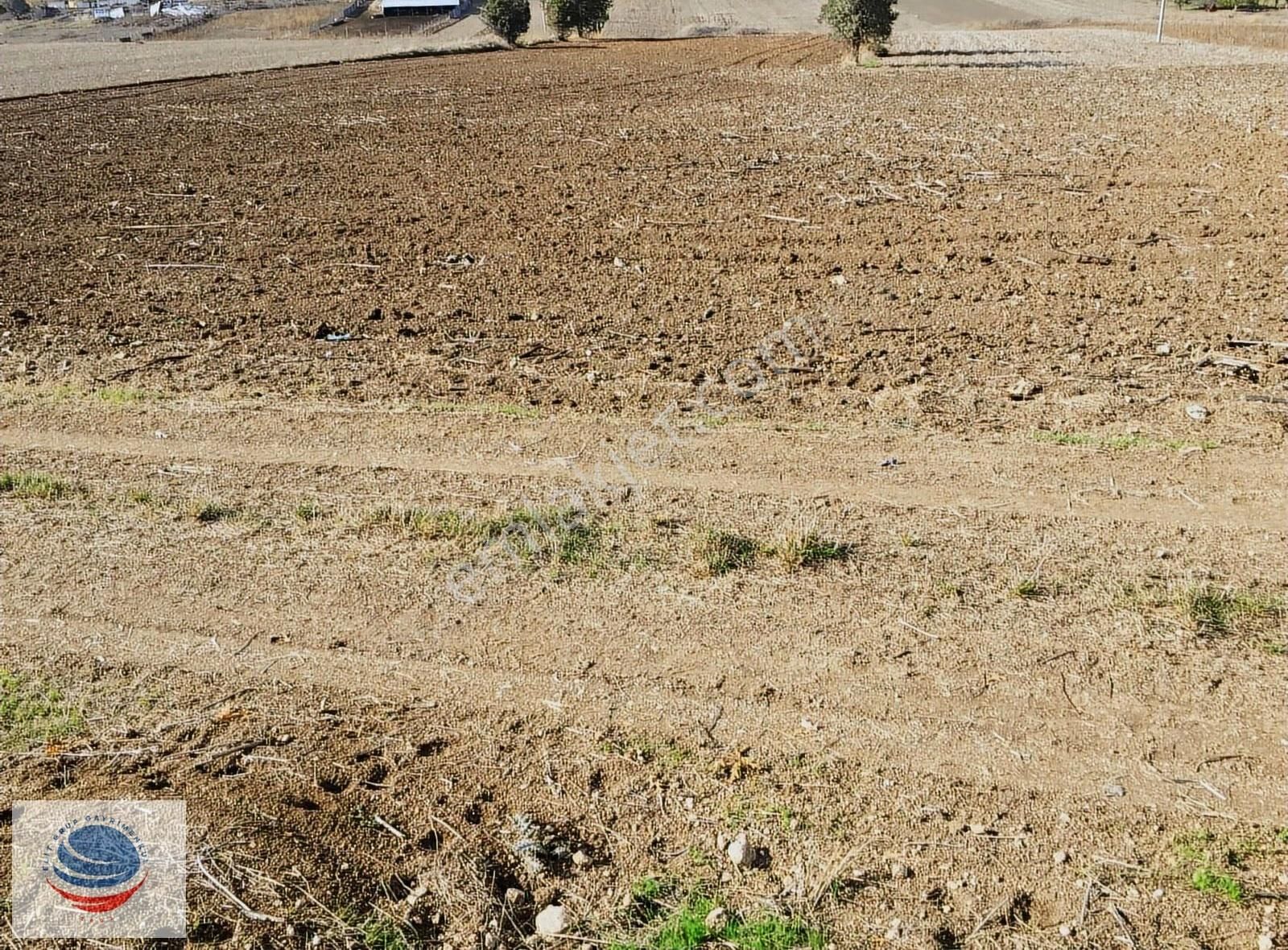 Bursa Yenişehir Köprühisar'da Satılık 3433 M² Arsa - Görsel 5