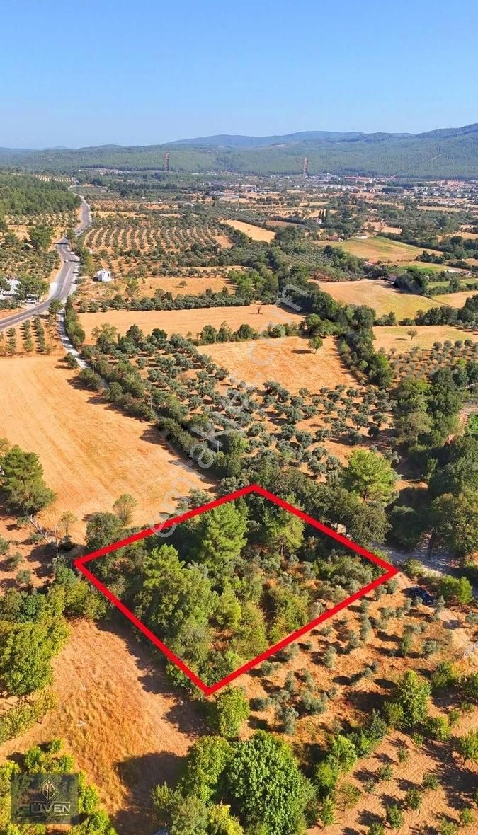 Muğla Menteşe Düğerek Sece Mevkiinde Satılık İmarlı Arsa - Görsel 3