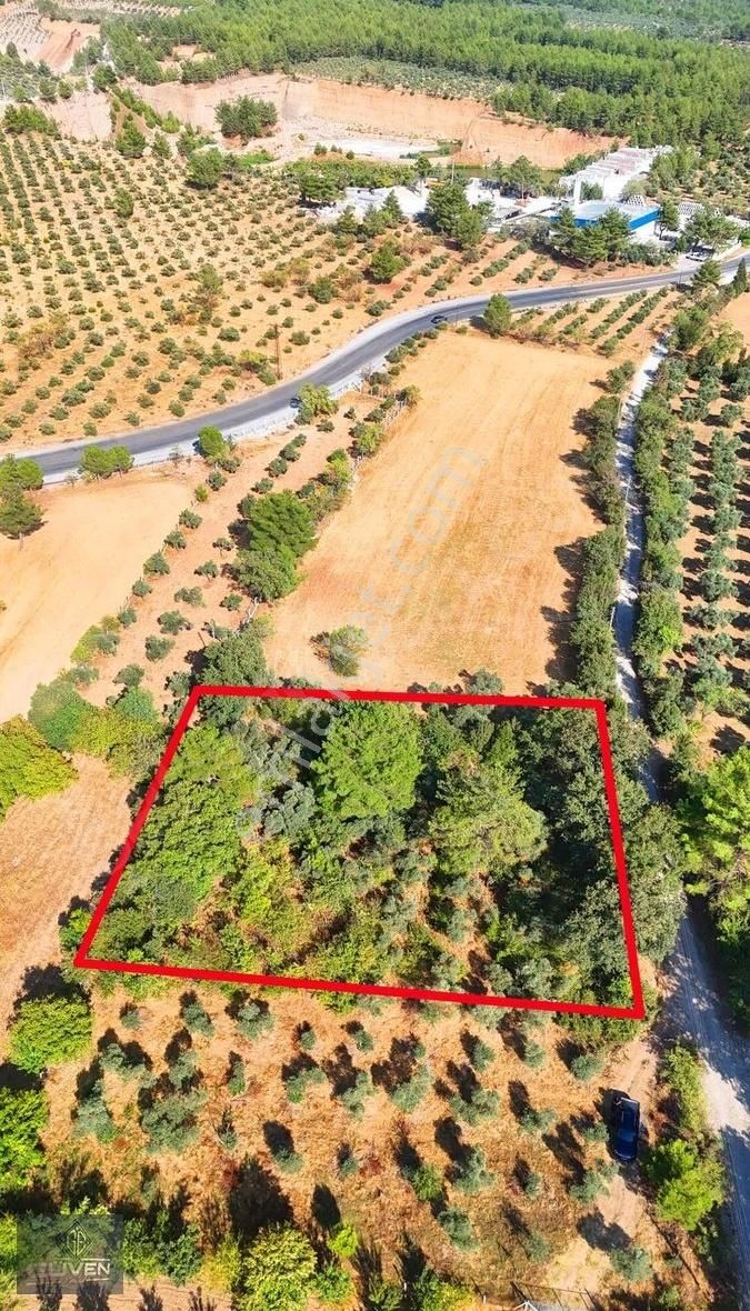 Muğla Menteşe Düğerek Sece Mevkiinde Satılık İmarlı Arsa - Görsel 4