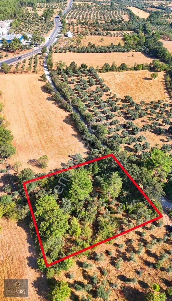 Muğla Menteşe Düğerek Sece Mevkiinde Satılık İmarlı Arsa - Görsel 5