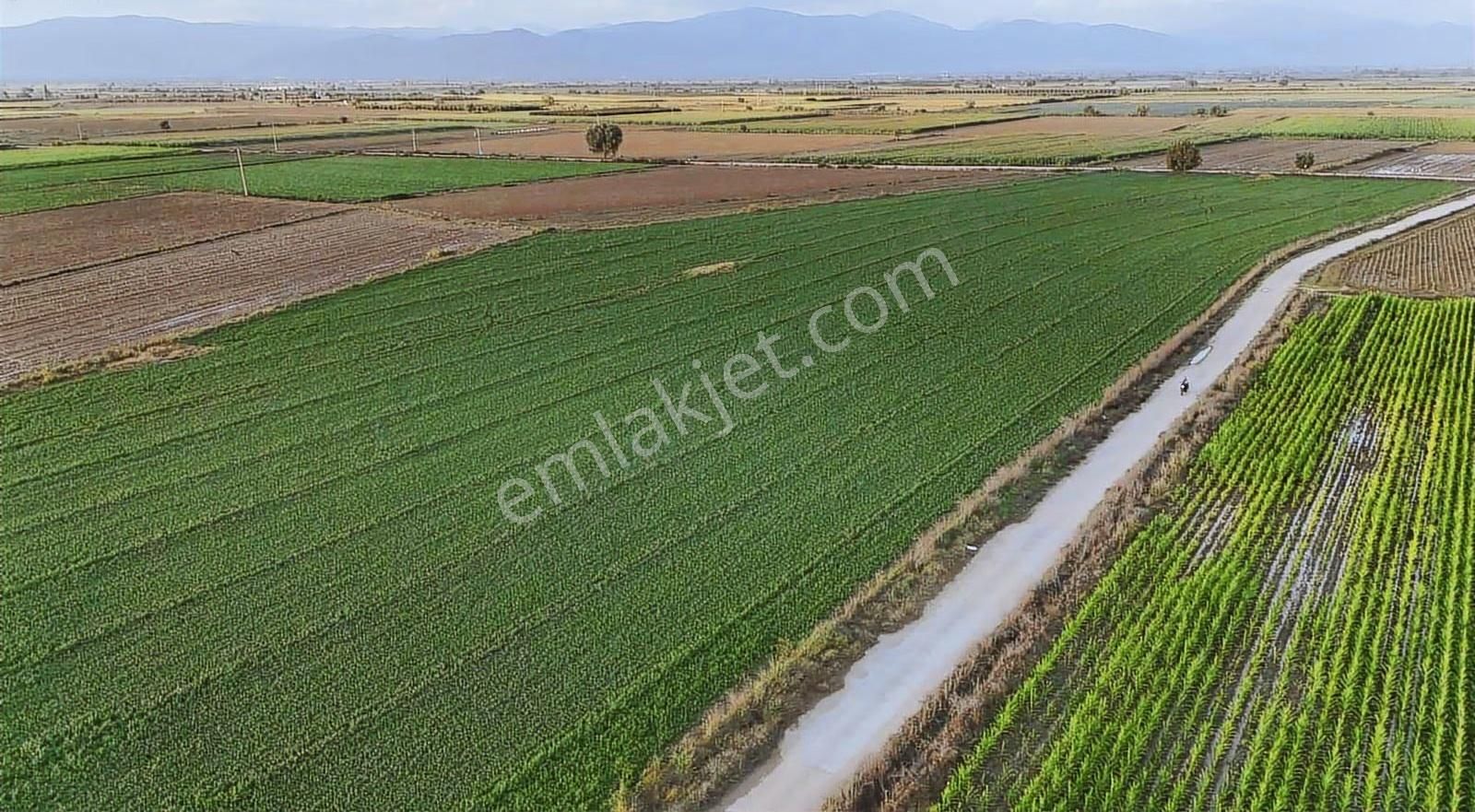 Pek Emlaktan Tirenin En Verimli Sulu 260 Dekar Tarlası Satışta