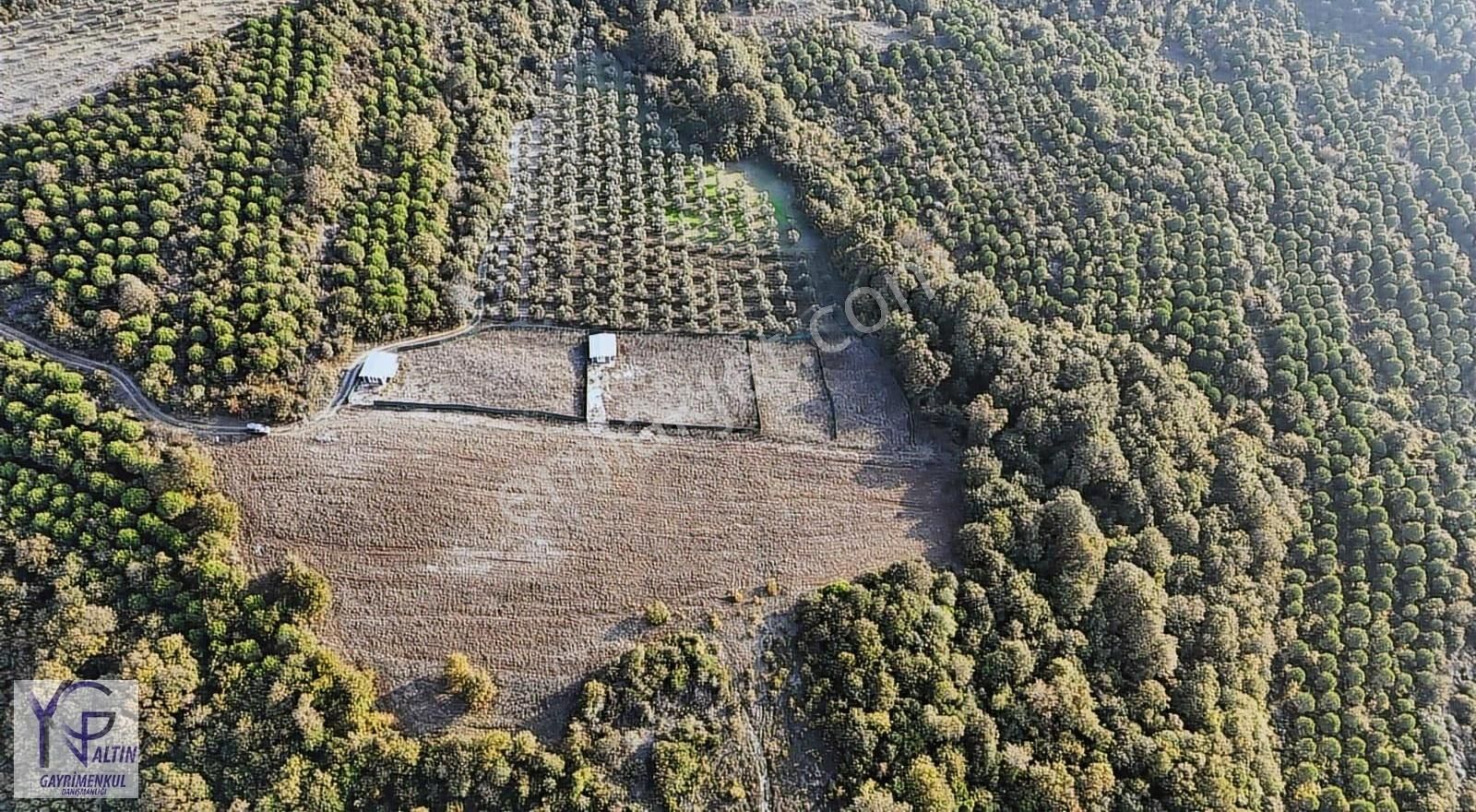 Yng Altından Bursa Mudanya Esencede Yatırımlık Satılık Tarla - Görsel 4