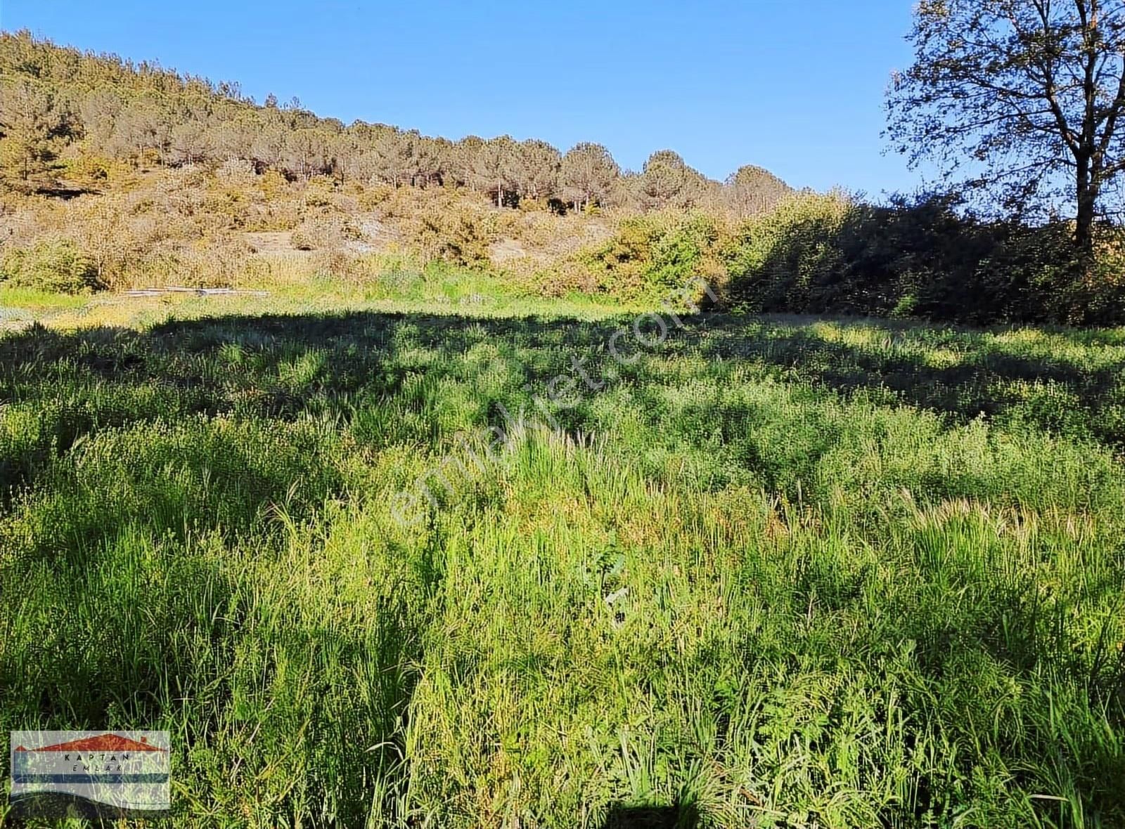 Yenice Aşağıkaraşık Köyü Yola Cephe Satılık 1690 M2 Arsa - Görsel 2