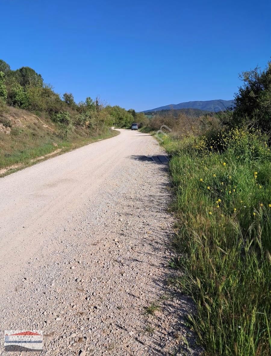 Yenice Aşağıkaraşık Köyü Yola Cephe Satılık 1690 M2 Arsa - Görsel 7