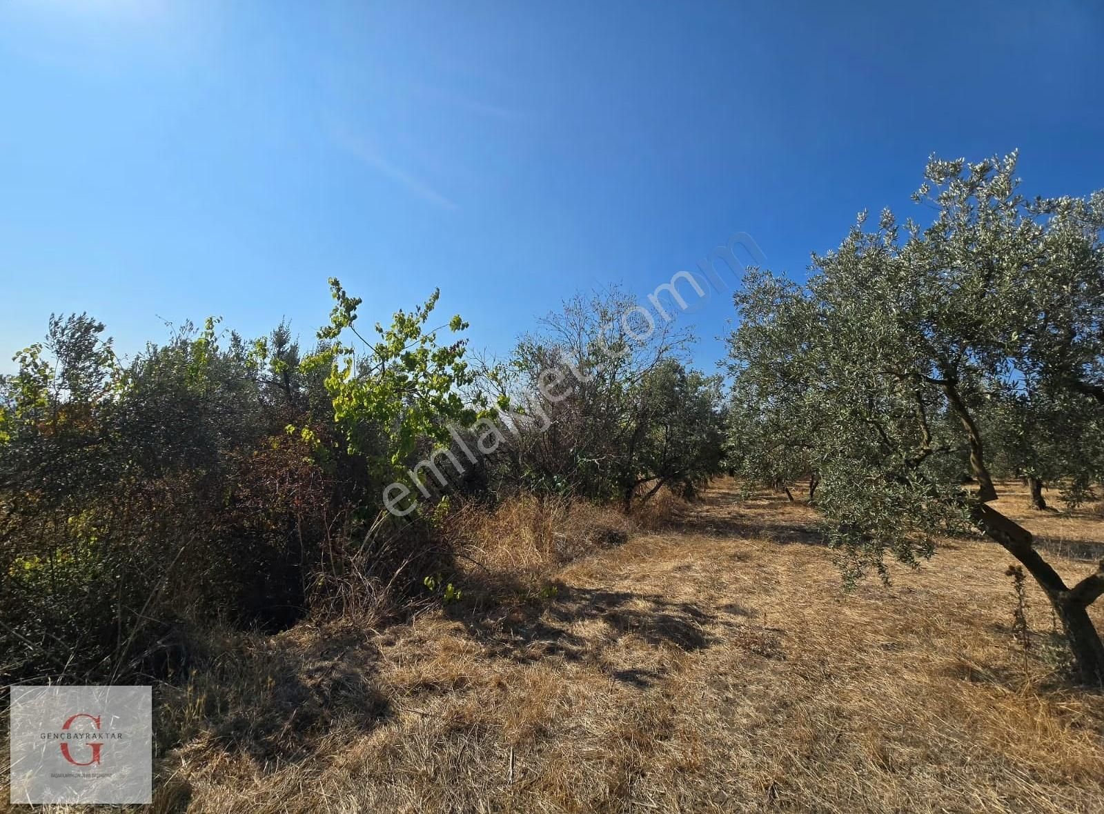 Mudanya Çağrışan'da 940m2 Bursa Manzaralı Villa İmarlı Arsa - Görsel 5