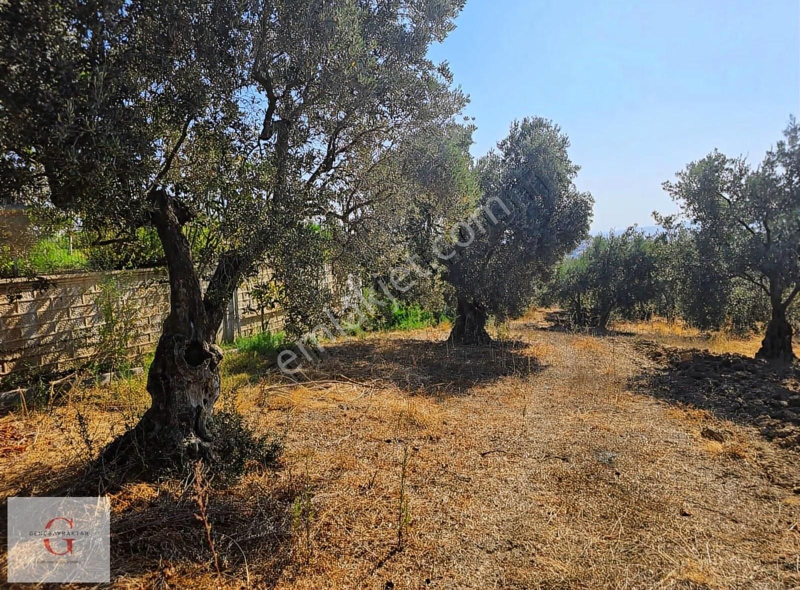 Mudanya Çağrışan'da 940m2 Bursa Manzaralı Villa İmarlı Arsa - Görsel 13