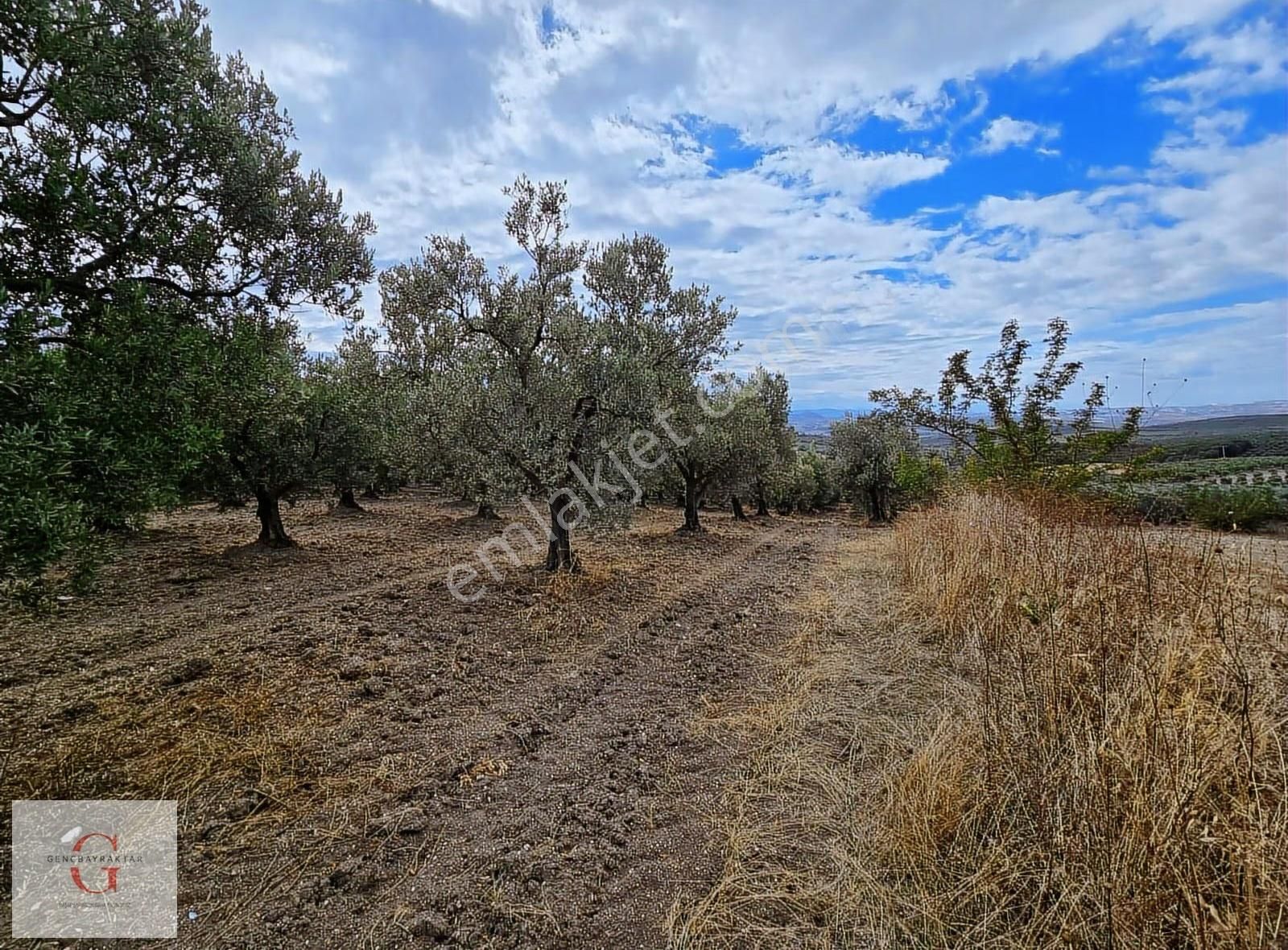 Mudanya Hançerli'de Çift Yolacephe Tek Tapu 11550m2 Arazi - Görsel 2