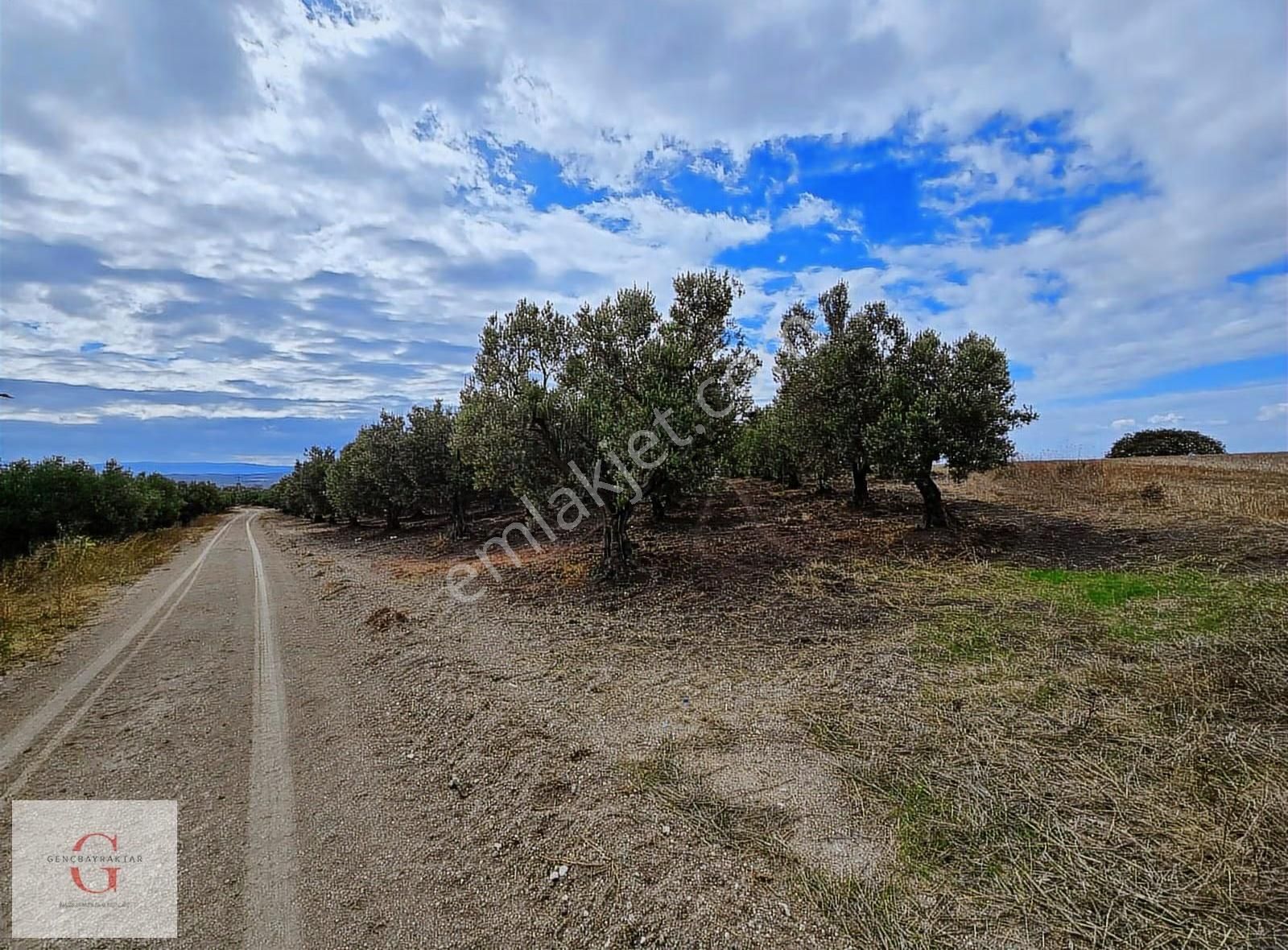 Mudanya Hançerli'de Çift Yolacephe Tek Tapu 11550m2 Arazi - Görsel 16