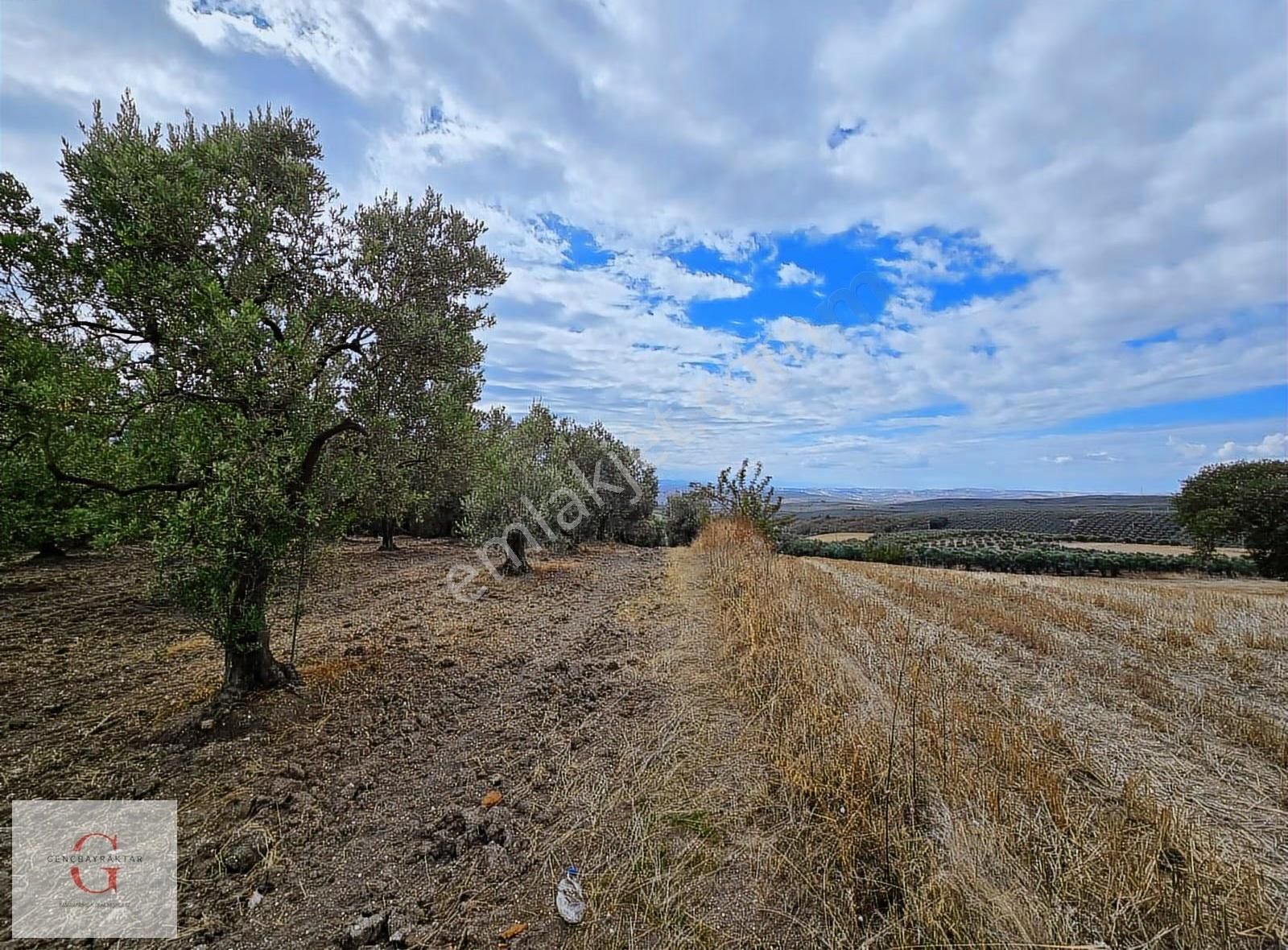 Mudanya Hançerli'de Çift Yolacephe Tek Tapu 11550m2 Arazi - Görsel 5