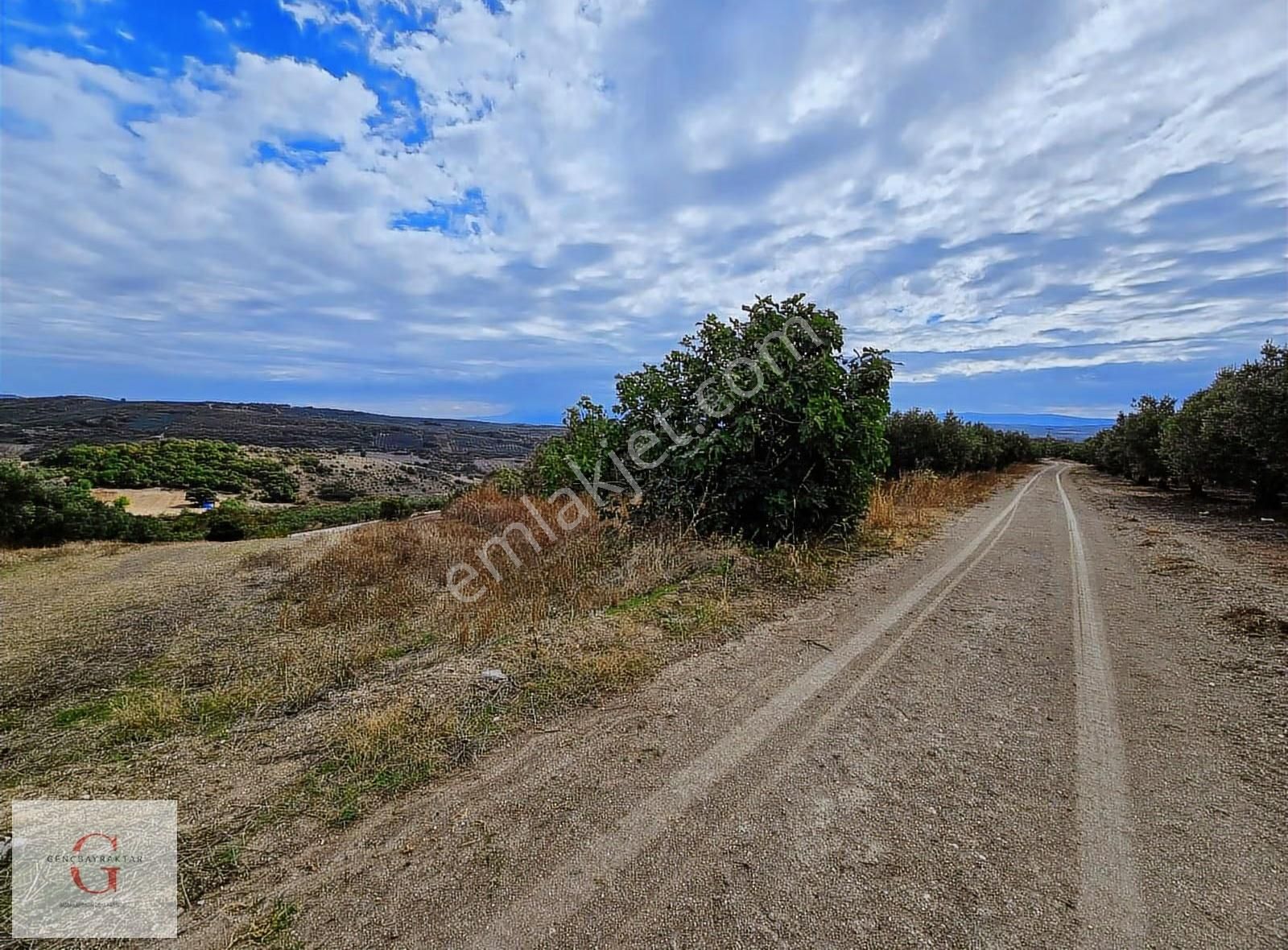 Mudanya Hançerli'de Çift Yolacephe Tek Tapu 11550m2 Arazi