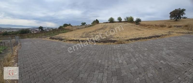 Karacabey İkizce'de Göl Manzaralı Köy İçi 2400m2t Tek Tapu Bahçe - Görsel 11