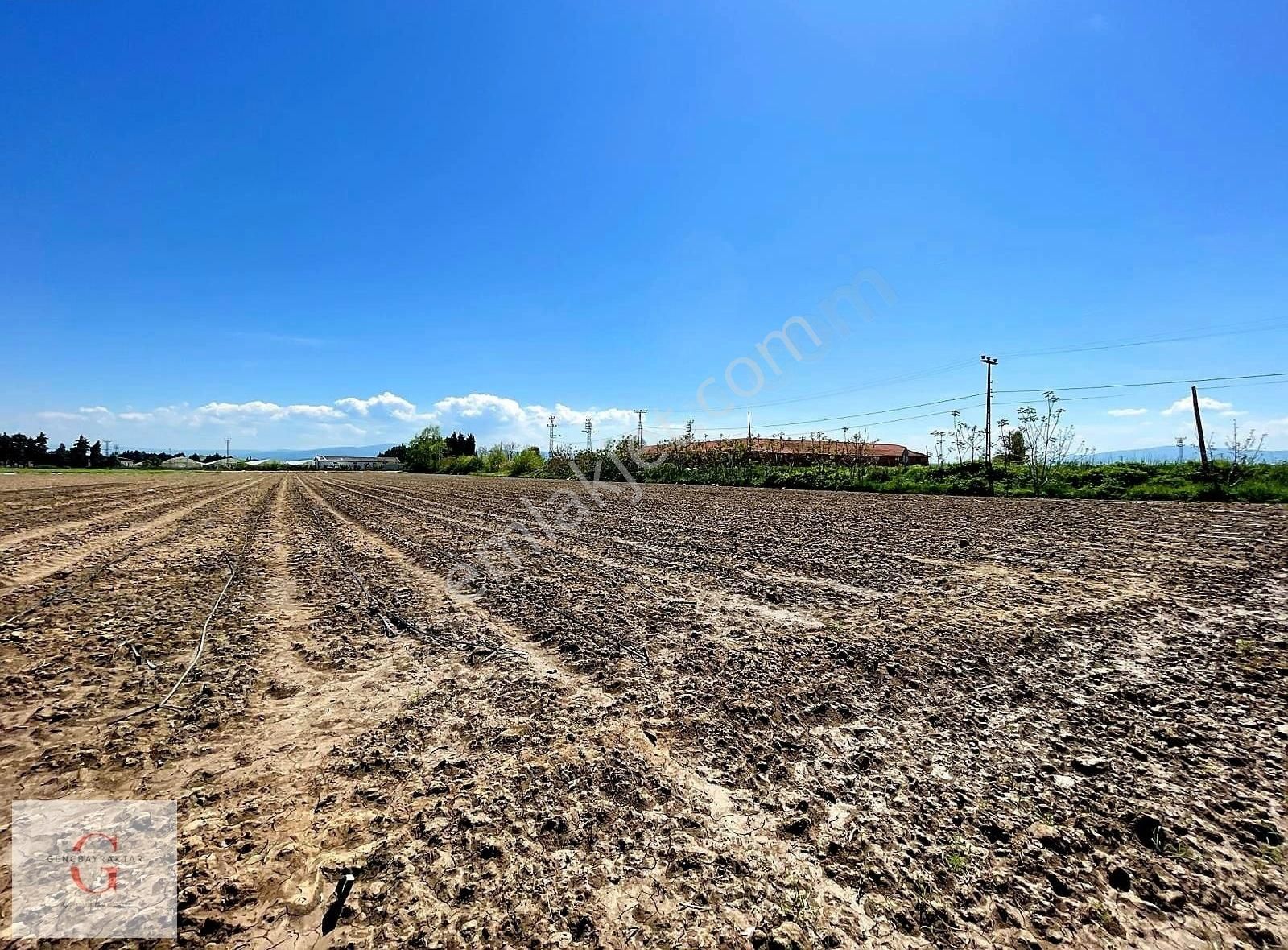 M.kemalpaşa Durumtay'da 650m2 0,50 Emsal İmarlı Arsa