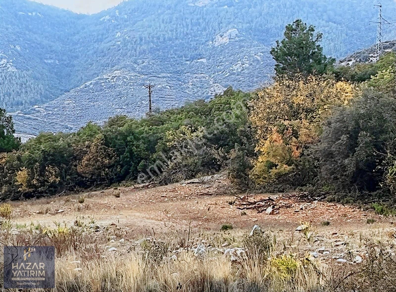 Ana Yol Cepheli Orman Sınırında 24 Dönüm Satılık Arazi - Görsel 12