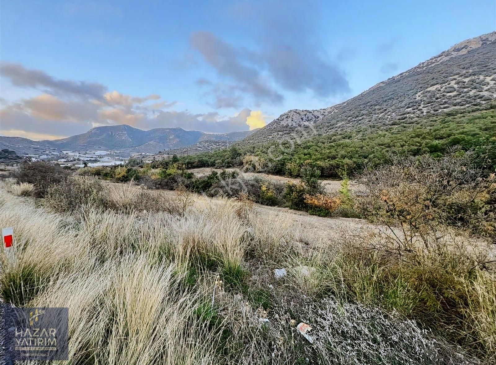 Ana Yol Cepheli Orman Sınırında 24 Dönüm Satılık Arazi - Görsel 9