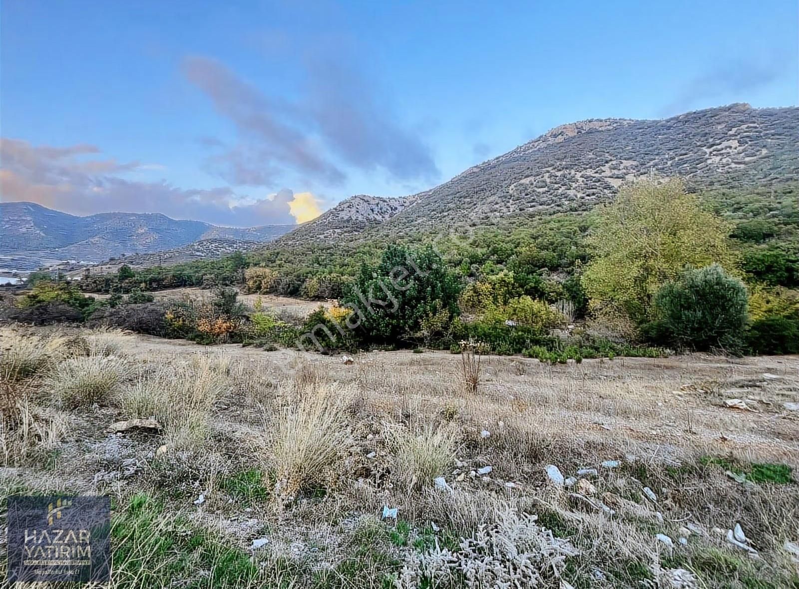 Ana Yol Cepheli Orman Sınırında 24 Dönüm Satılık Arazi - Görsel 11