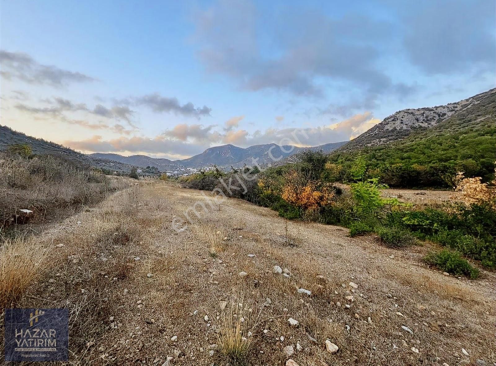 Ana Yol Cepheli Orman Sınırında 24 Dönüm Satılık Arazi - Görsel 4
