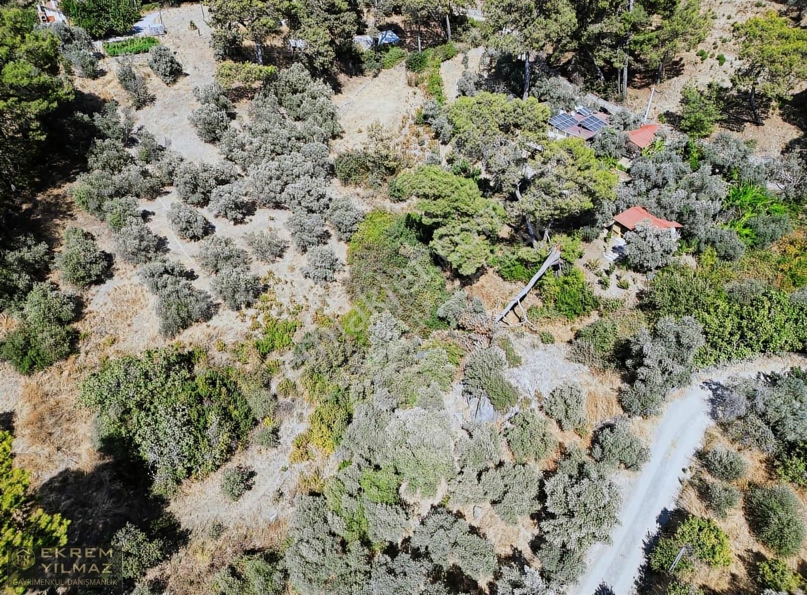 Dalaman Şereflerde 2731 M2 Arsa İçerisinde Satılık Müstakil - Görsel 9