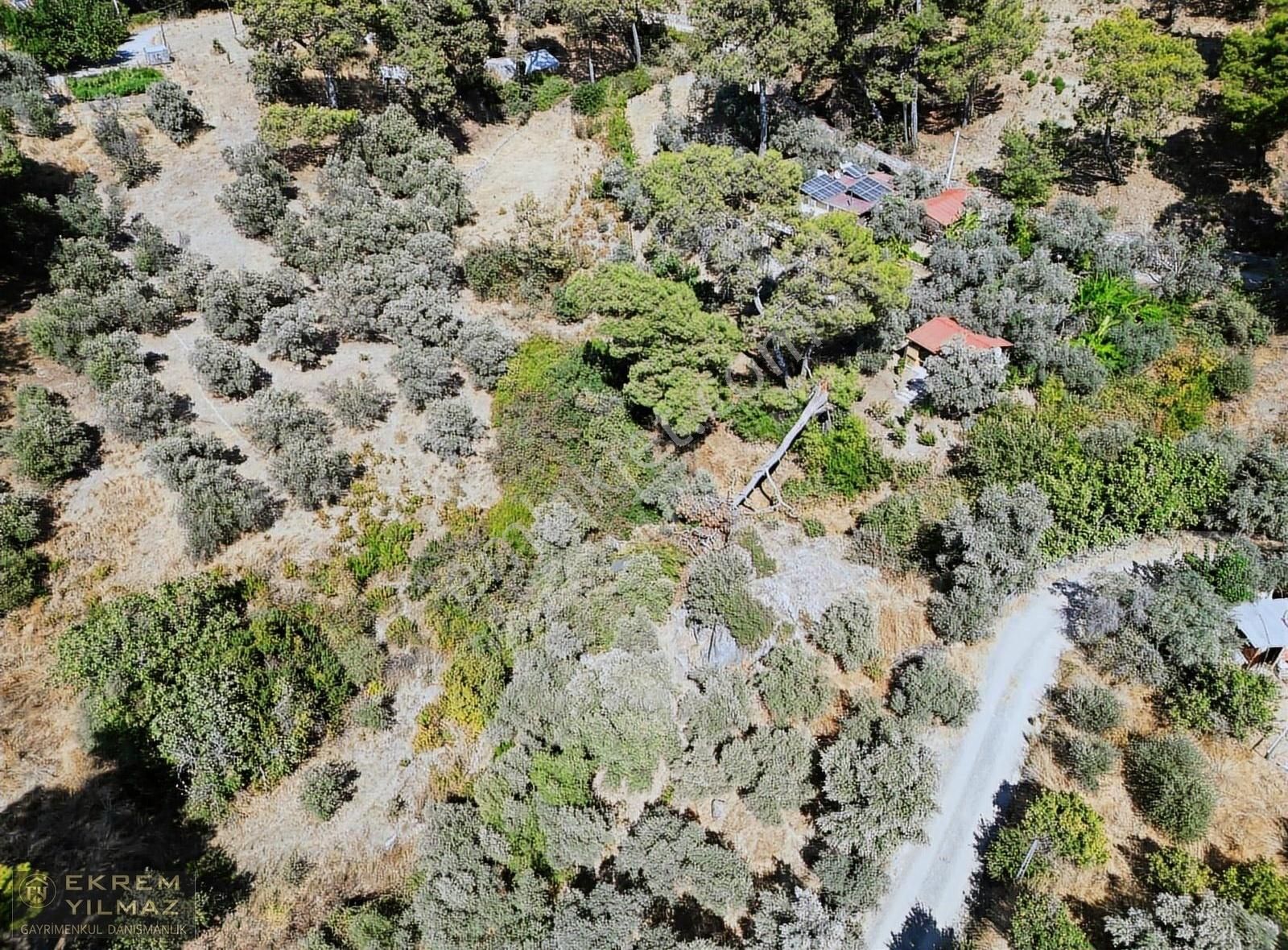 Dalaman Şereflerde 2731 M2 Arsa İçerisinde Satılık Müstakil - Görsel 10