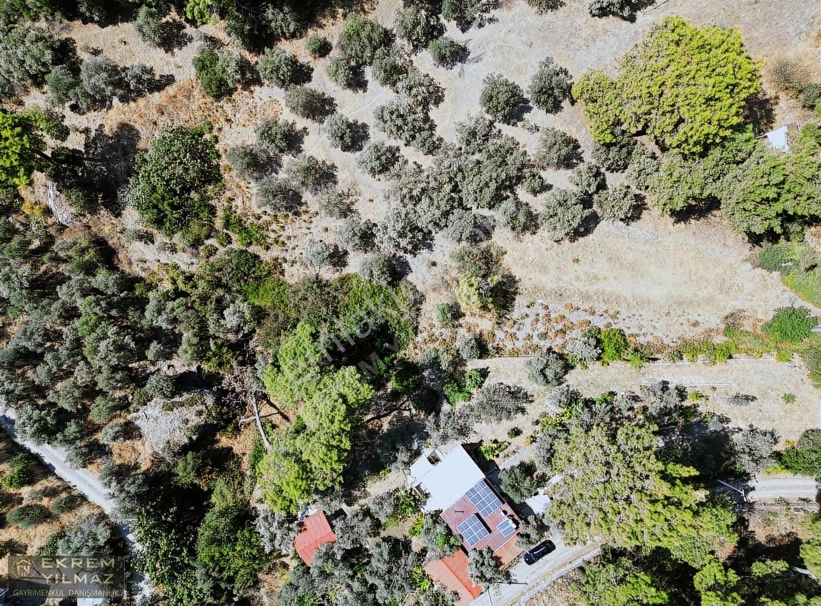 Dalaman Şereflerde 2731 M2 Arsa İçerisinde Satılık Müstakil - Görsel 15