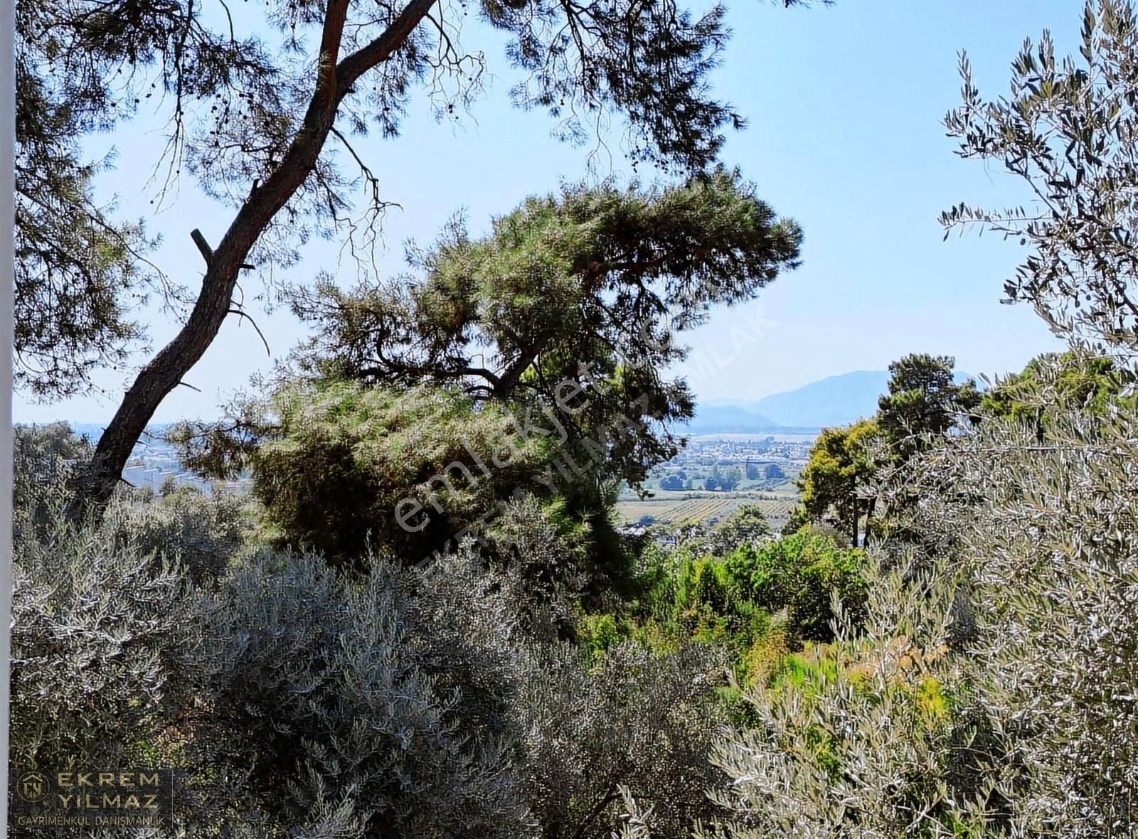 Dalaman Şereflerde 2731 M2 Arsa İçerisinde Satılık Müstakil - Görsel 16