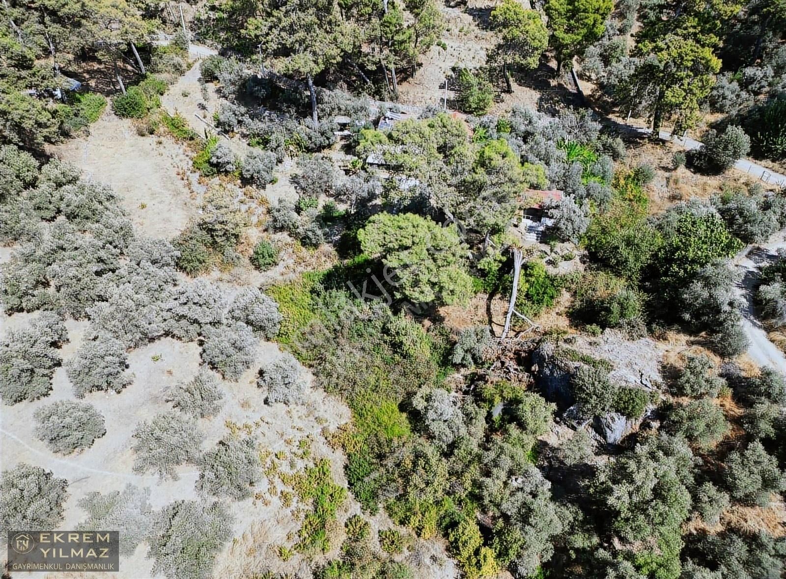 Dalaman Şereflerde 2731 M2 Arsa İçerisinde Satılık Müstakil - Görsel 4