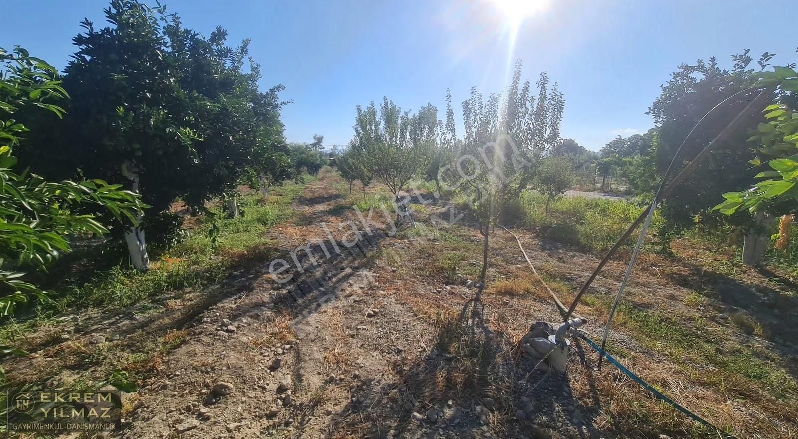 Köyceğiz Yangı Mahallesinde 2000m2 Arsada 110 M2 Müstakil Ev - Görsel 5