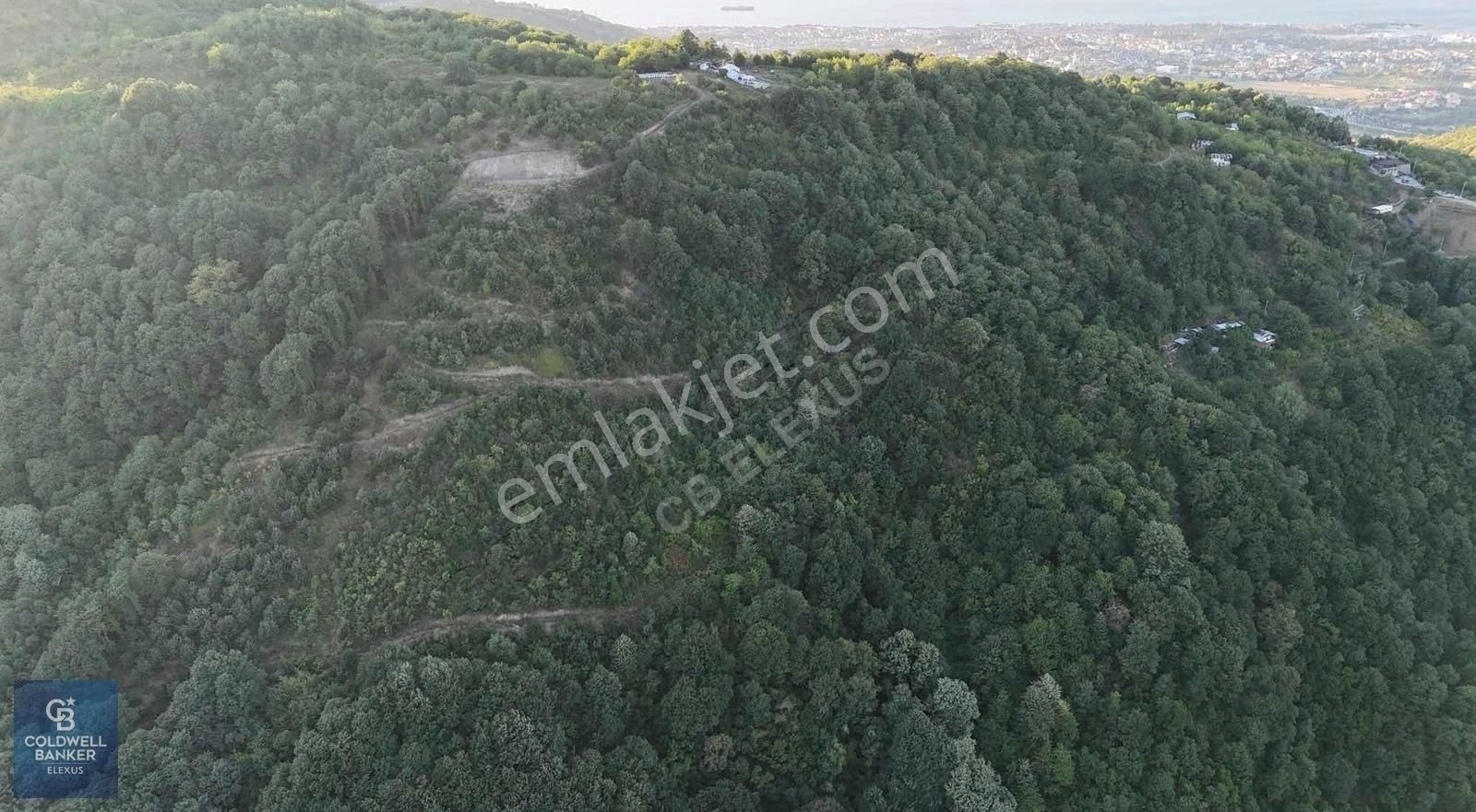 Cb Elexus | Sivritepe'de 14.360m2 %5 İmarlı Tarla - Görsel 9