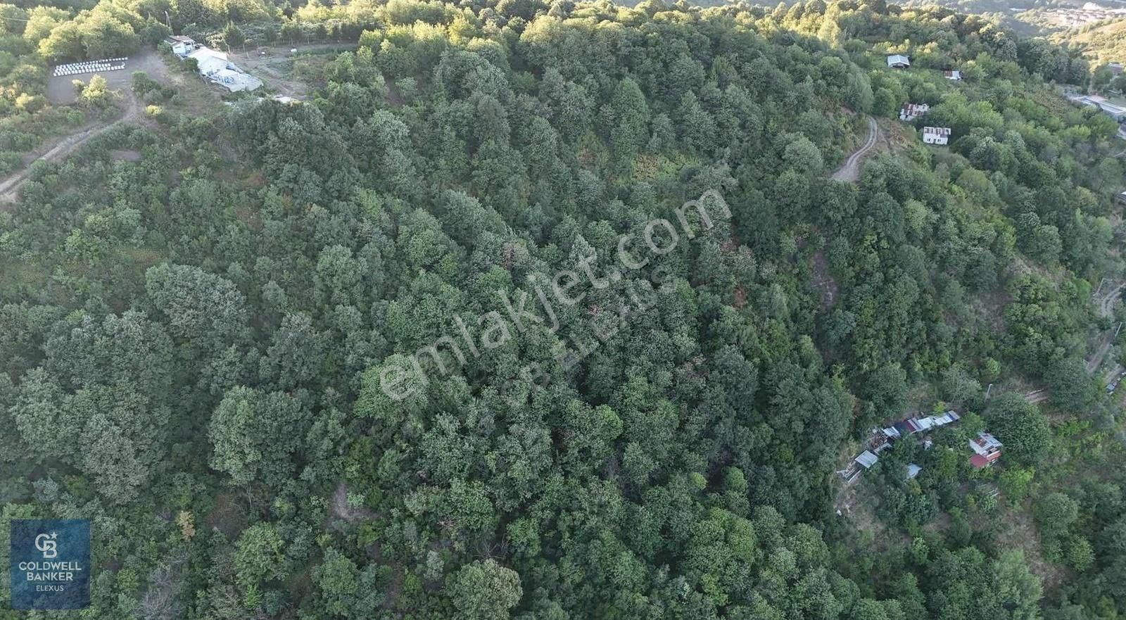 Cb Elexus | Sivritepe'de 14.360m2 %5 İmarlı Tarla - Görsel 18