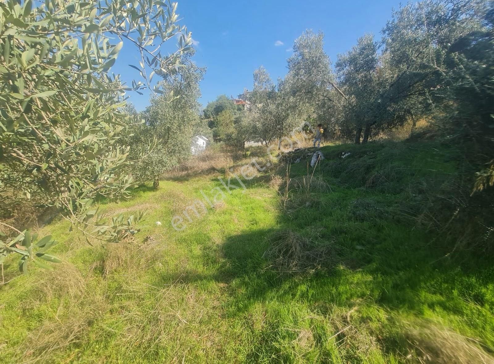 Gökben Mh.823 M2 İmarlı Tarla Satılıktır. - Görsel 29