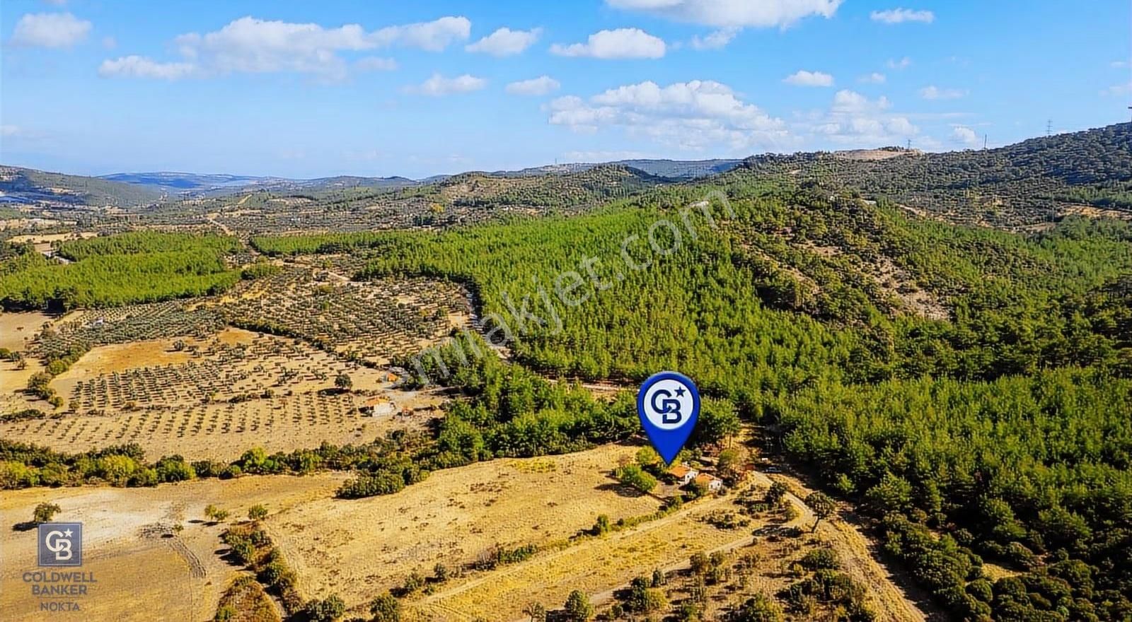 İzmir Bergama Zeytindağ'da Satılık 2 Adet Dağ Evi Ve Tarla - Görsel 4